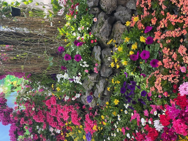 봄봄함평 이벤트