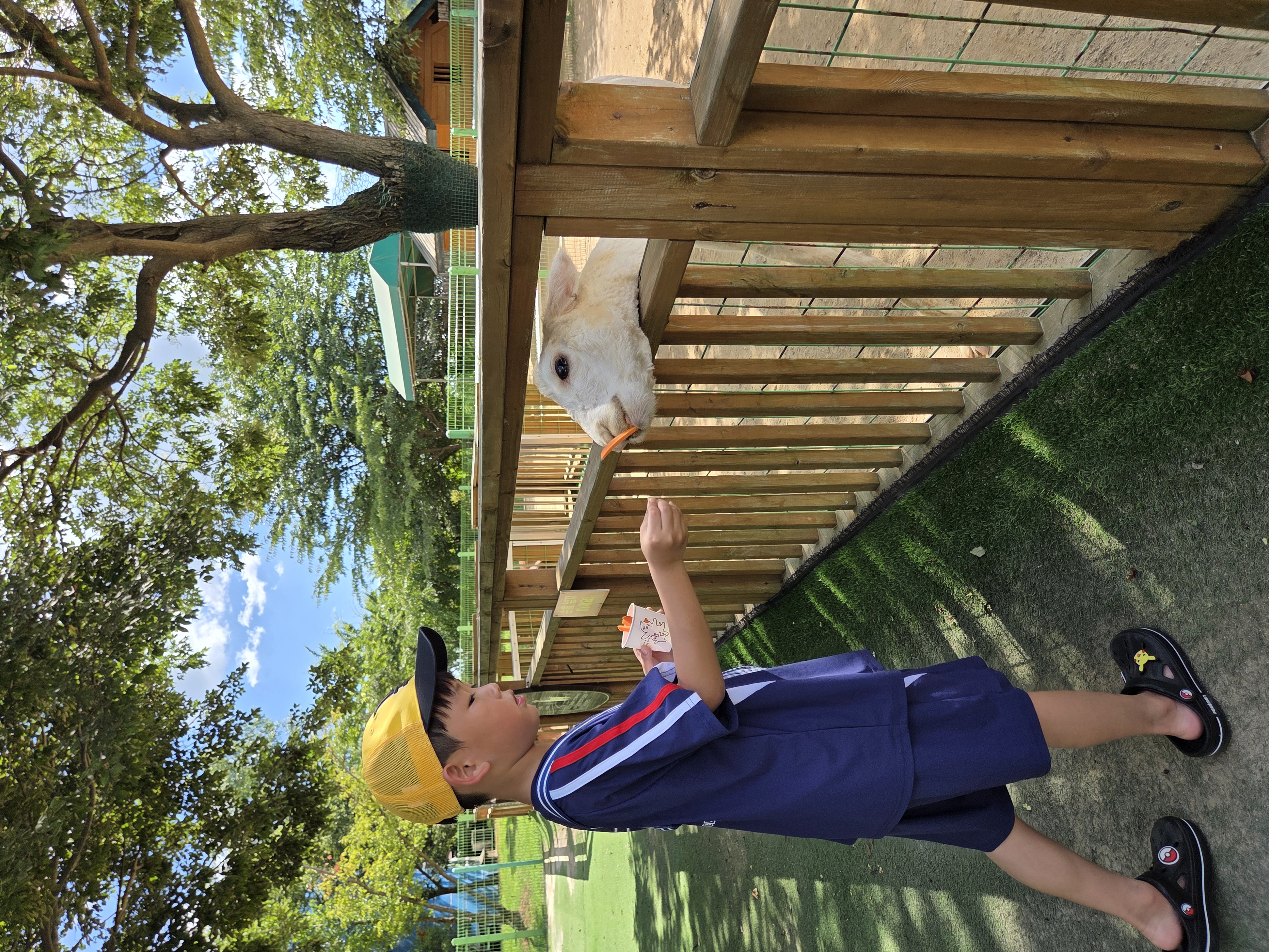 여름을 부탁해!