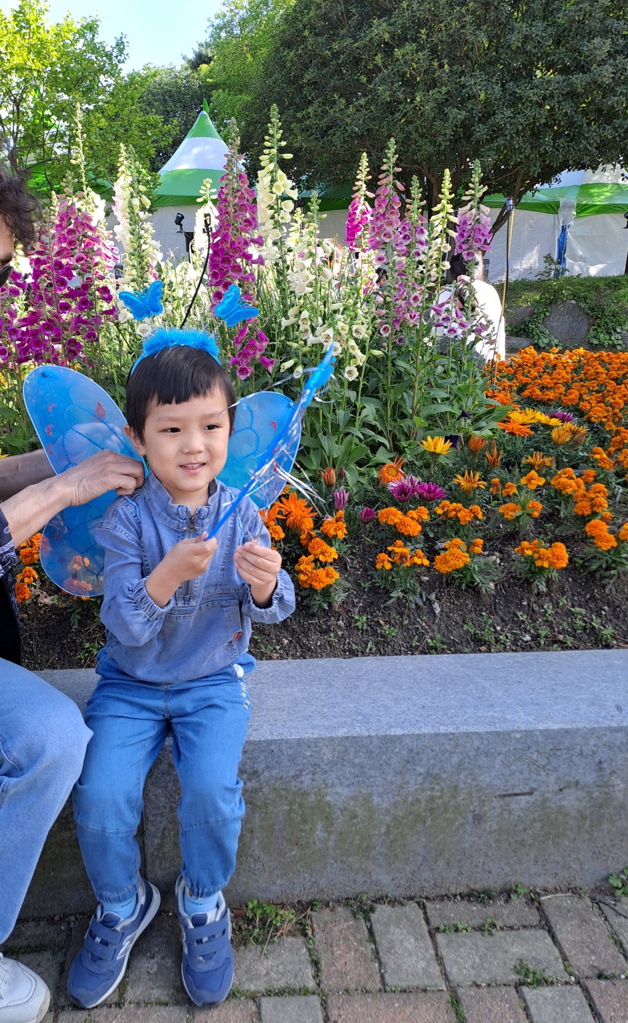 함평 나비 대축제 아들과 즐거운 나들이였어요~^^