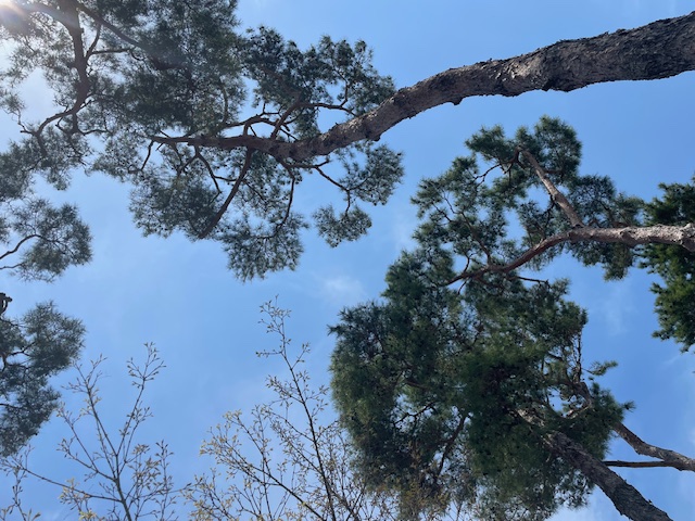 봄봄함평 이벤트