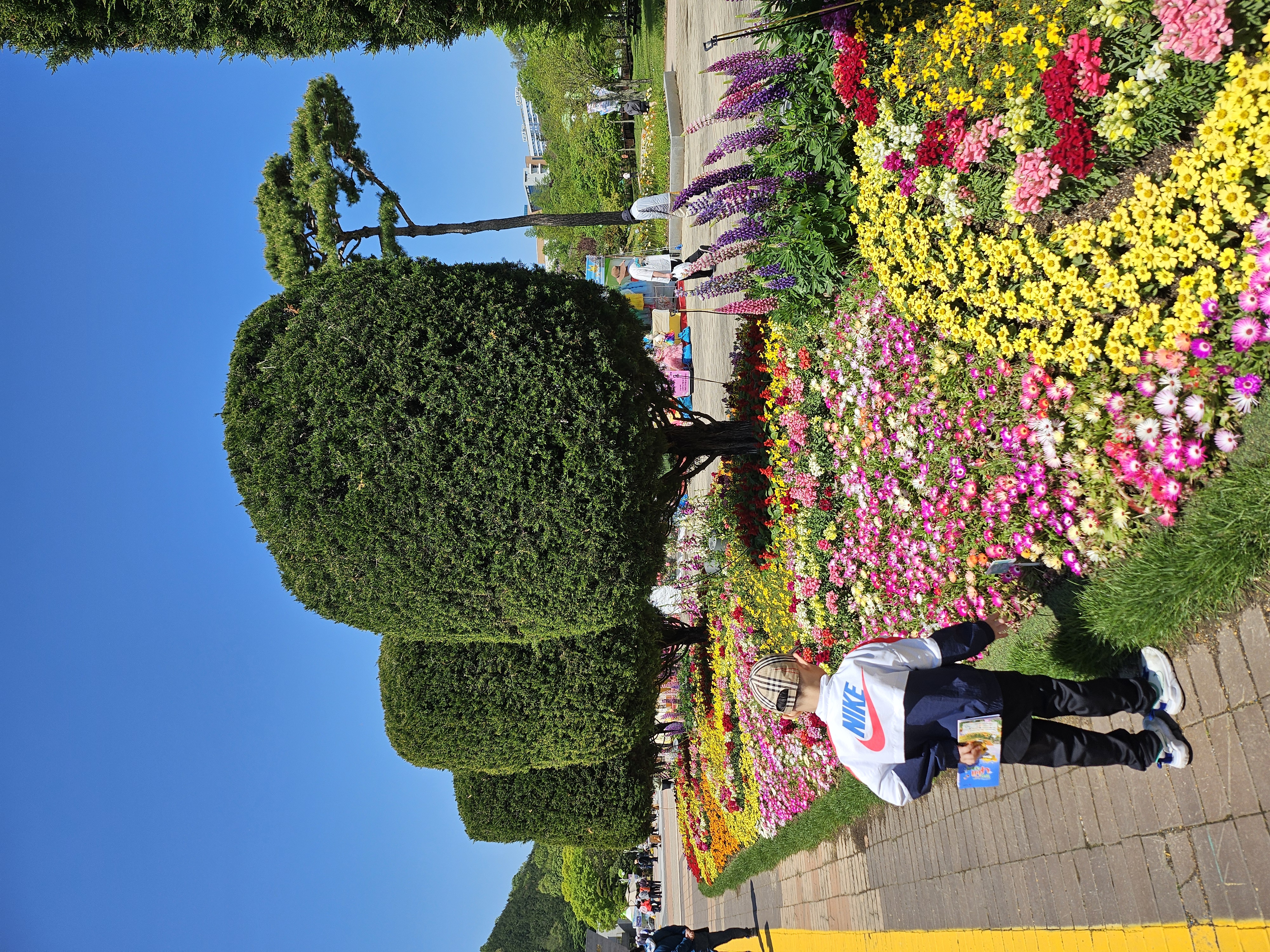 매년 찾게되는 함평나비축제