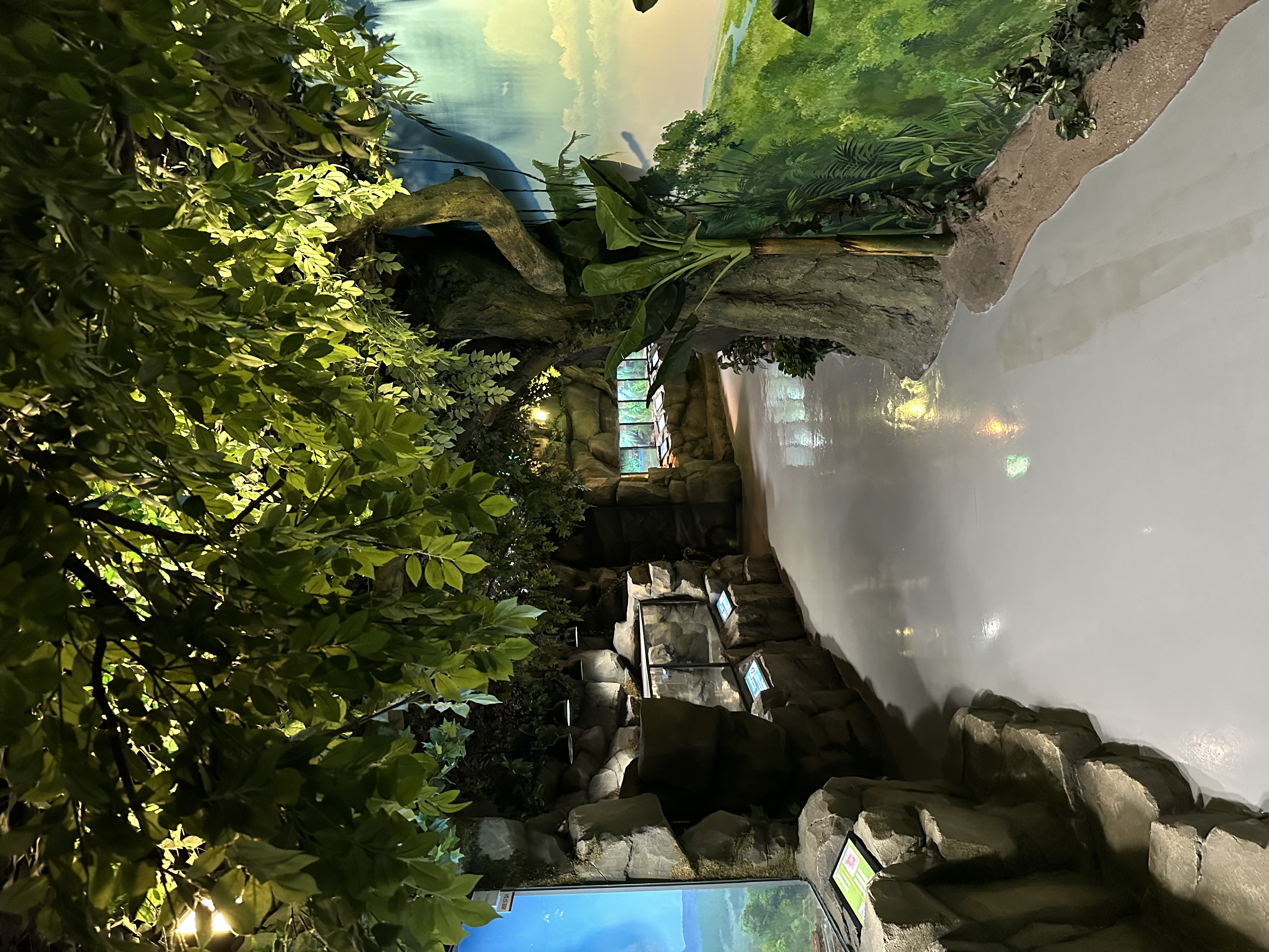 함평 양서파충류생태공원