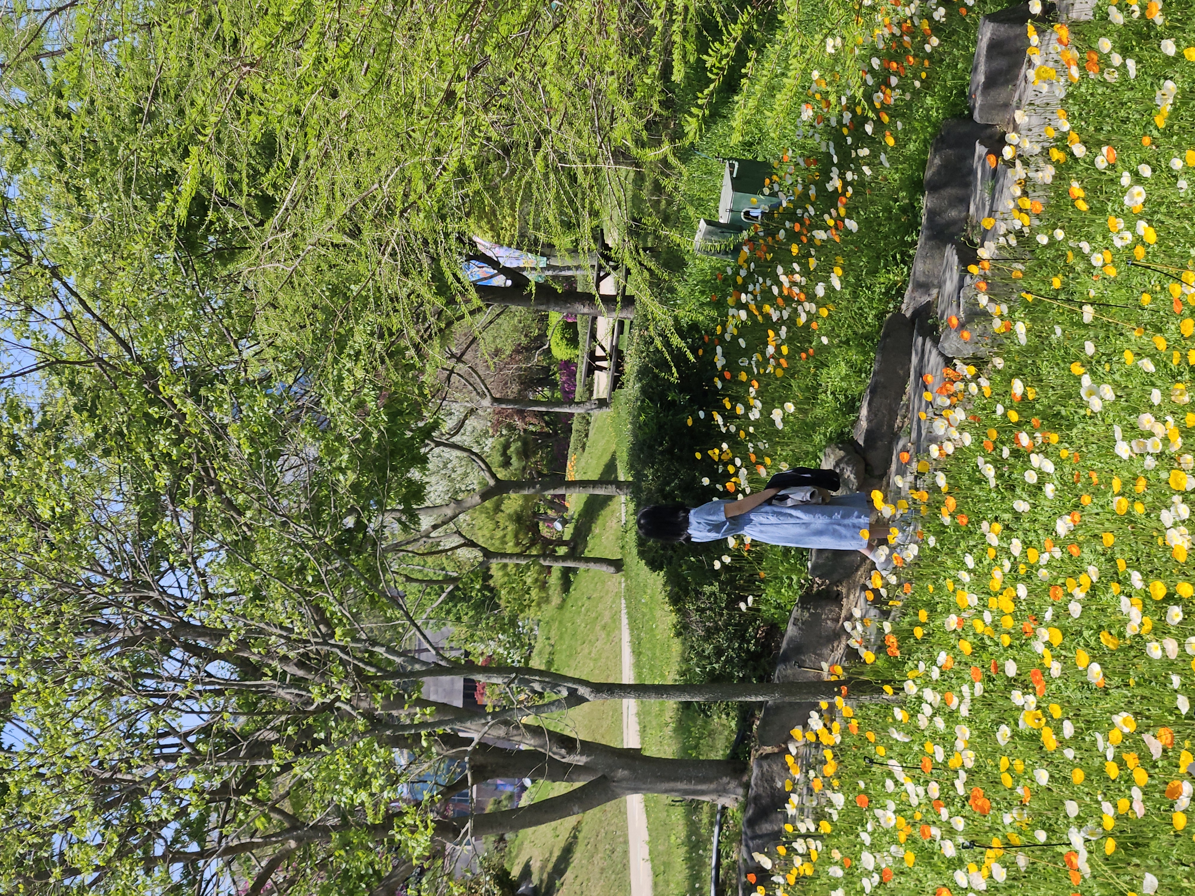 함평 나비대축제 다녀왔어요