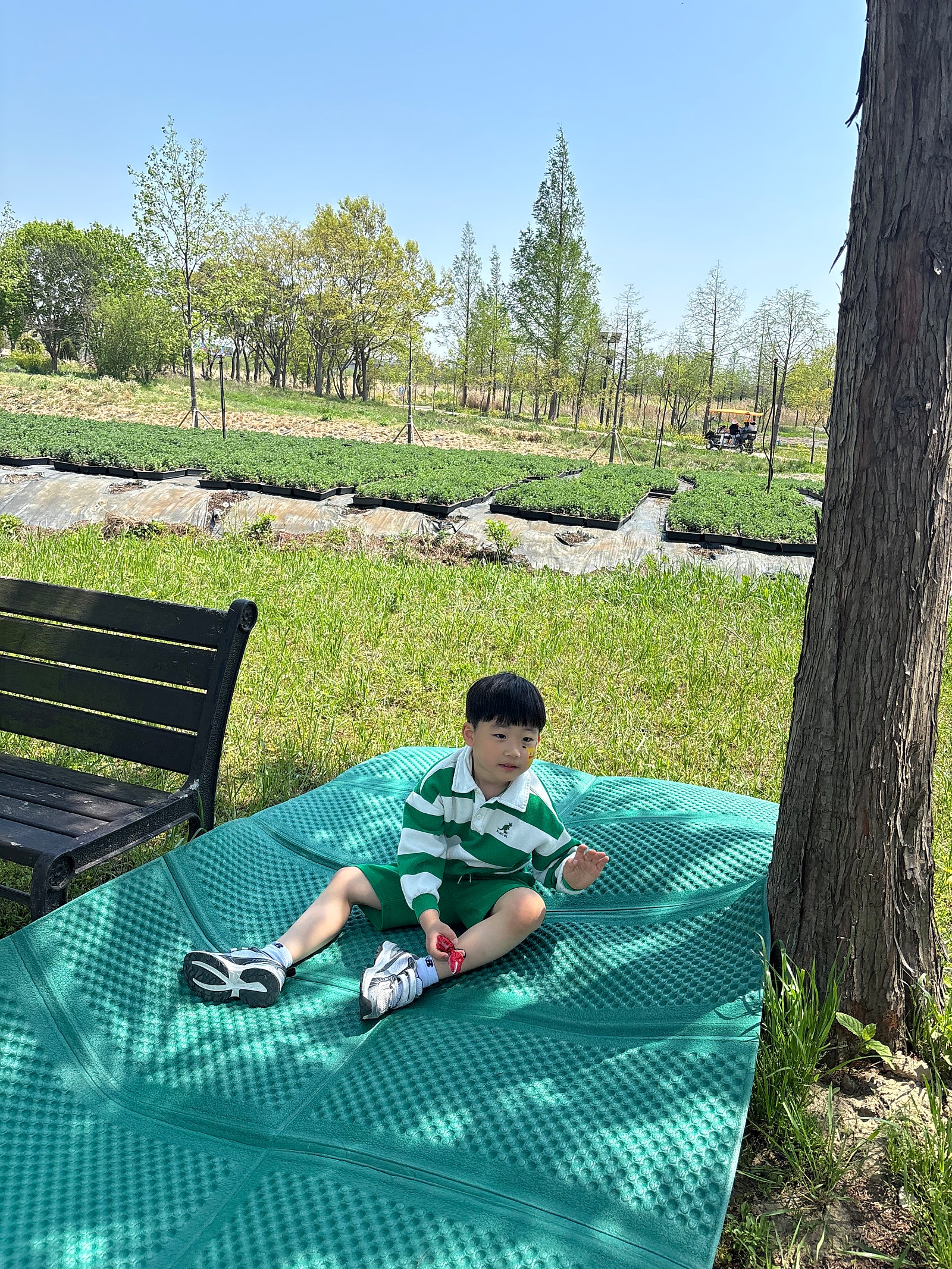 월컴 투 함평... 처음으로 나비 대축제를 다녀왔어요!