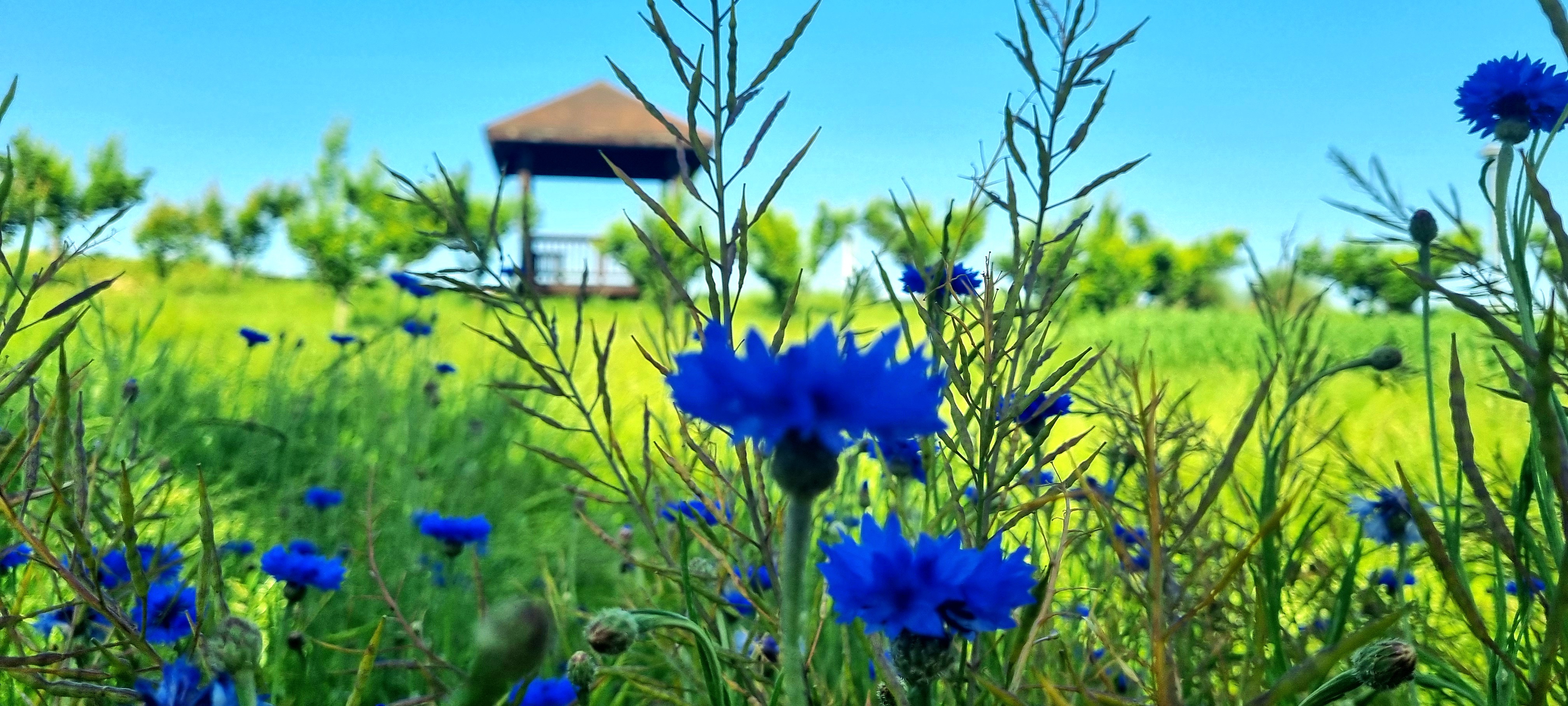 사계절이 좋은 함평엑스포공원