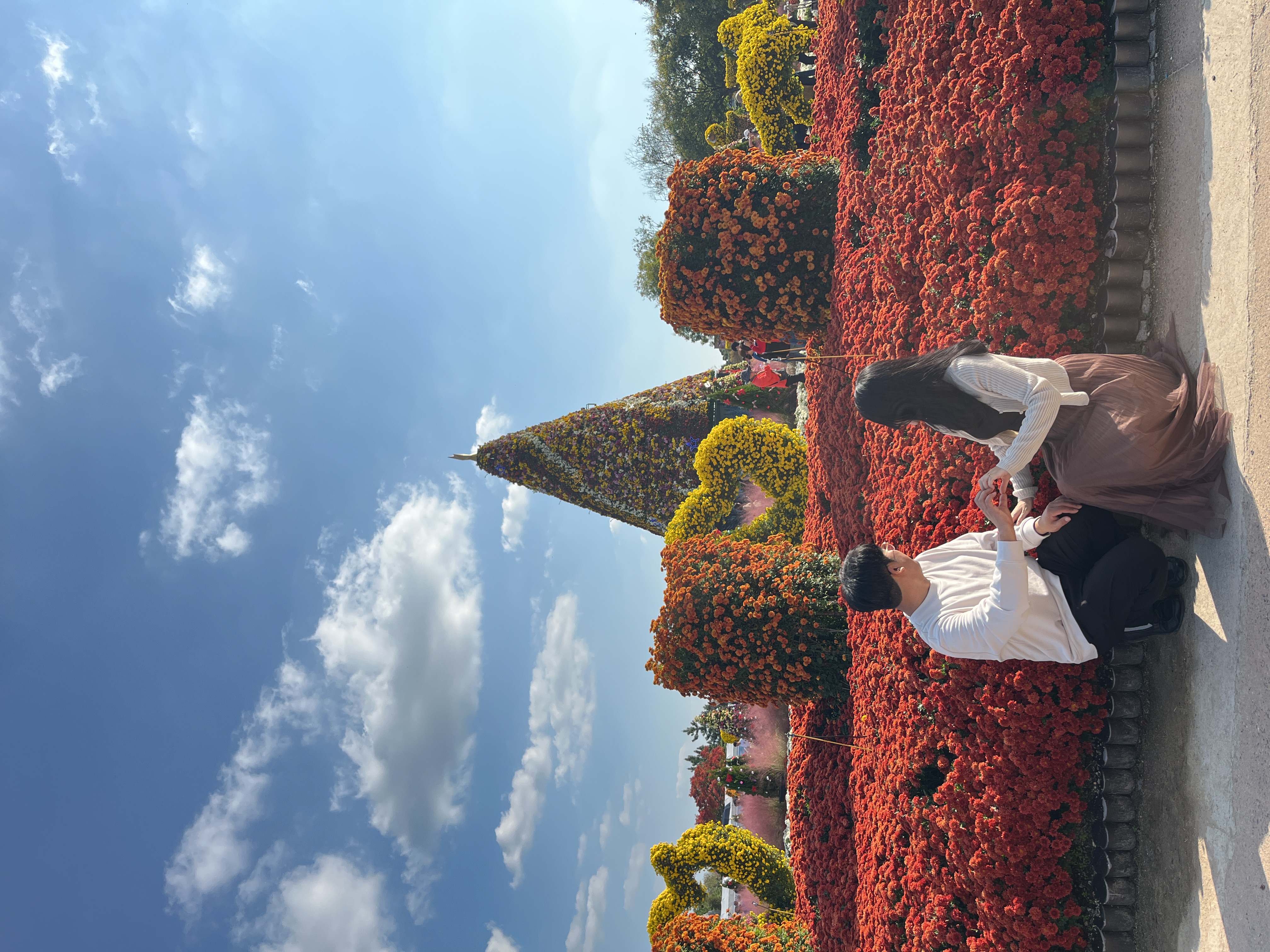 함평나들이(국향대전과 황금빛 노을)