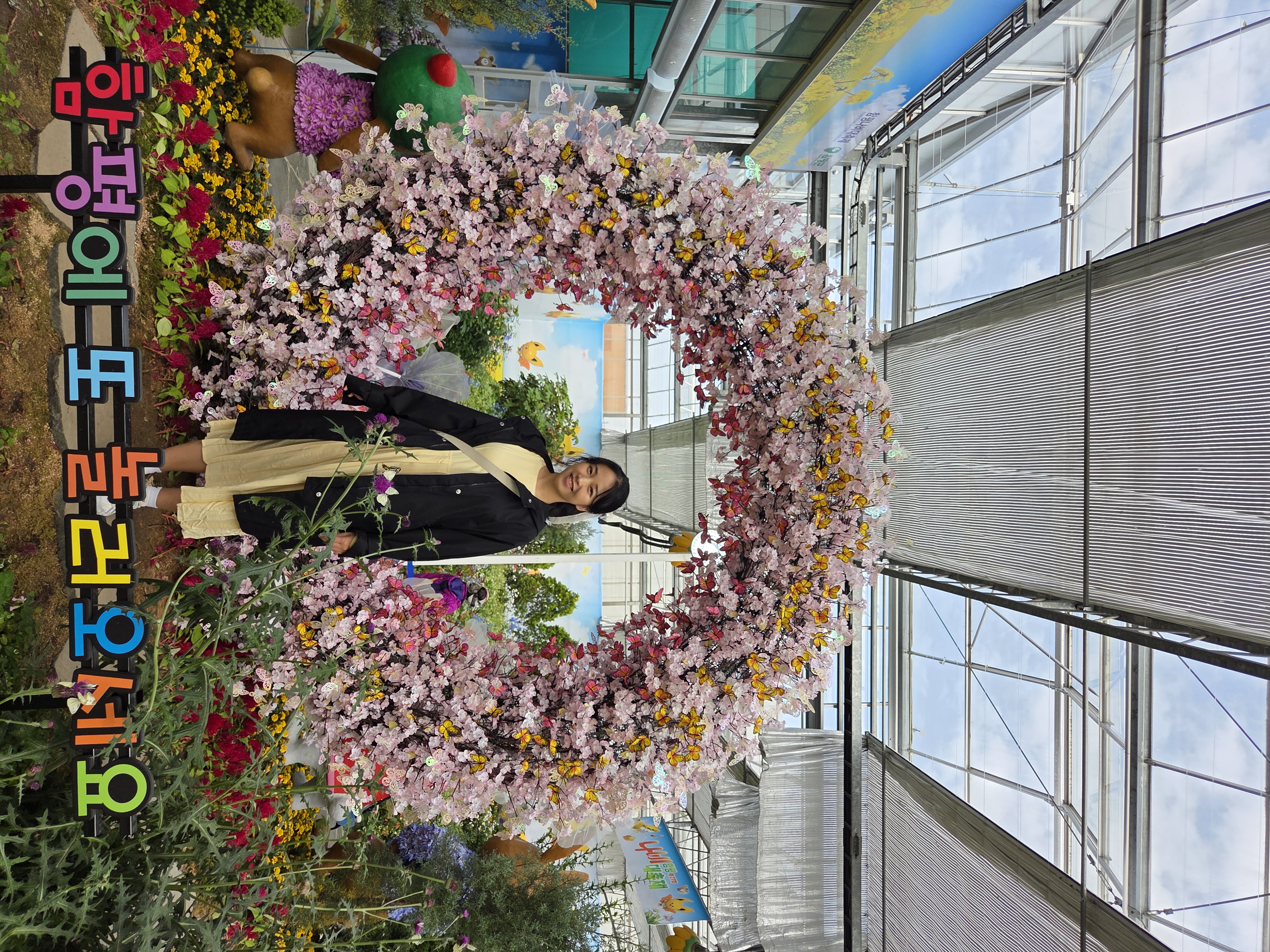 해년마다 방문해도 행복한 나비축제