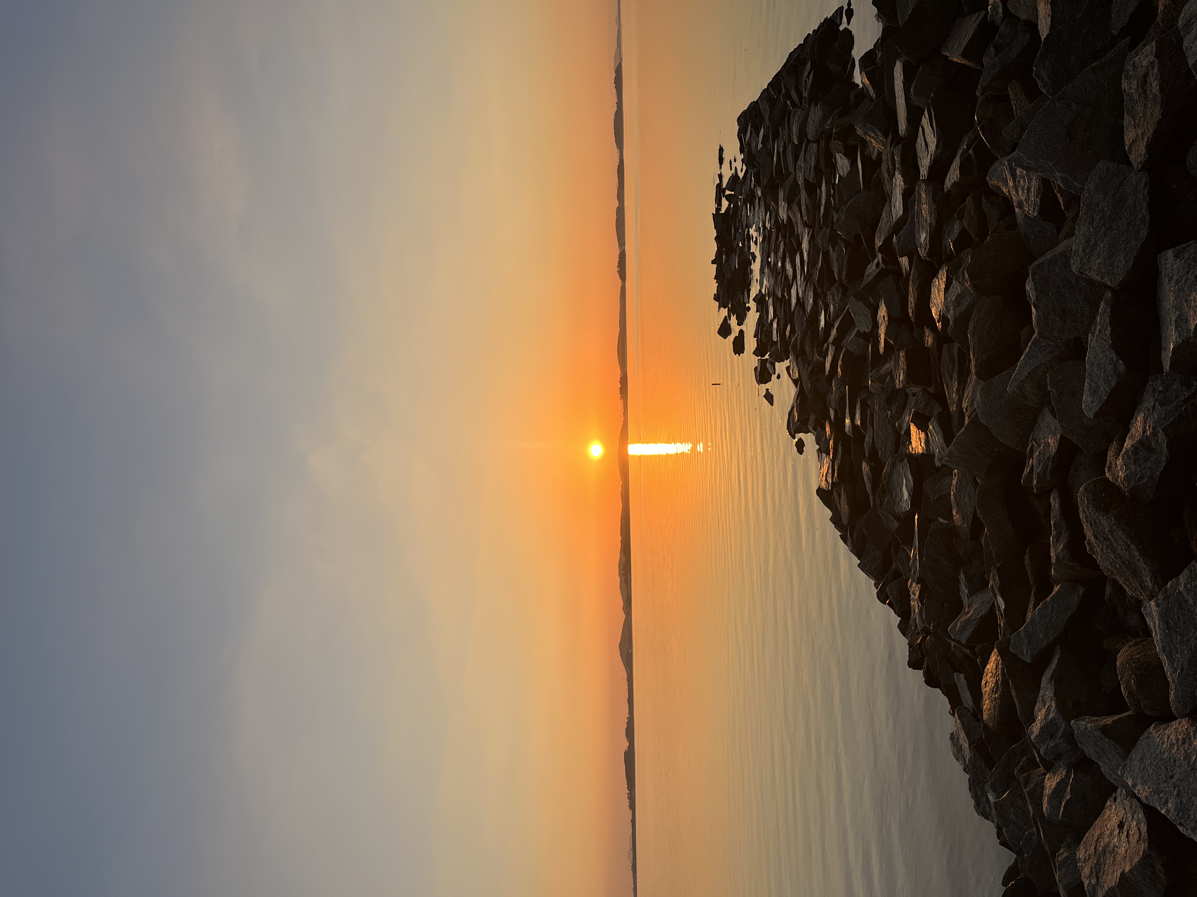 함평나들이(국향대전과 황금빛 노을)