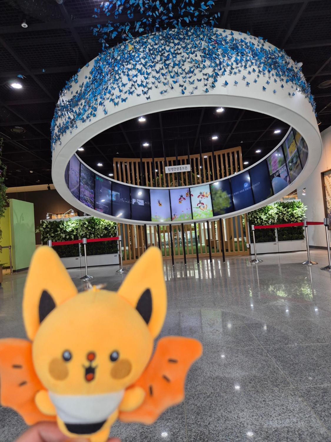 뜨거운 태양을 피하는 여름철의 신나는 여행!!!