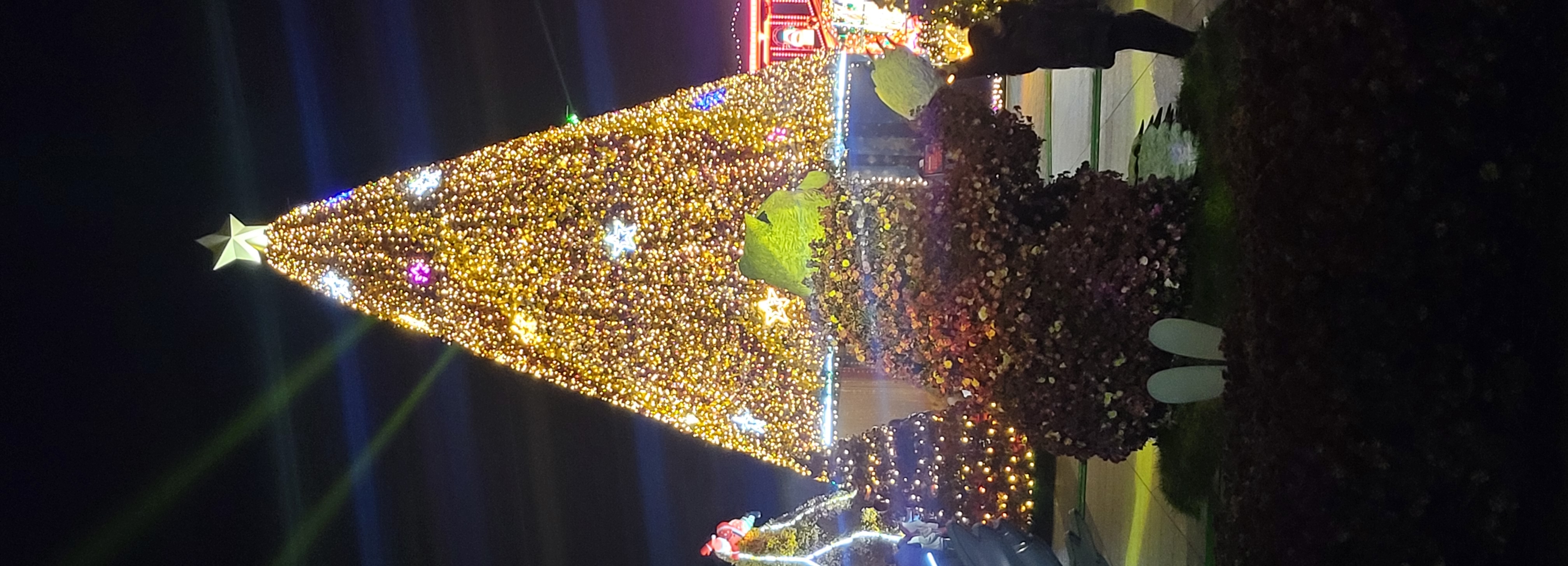 정말 정말 예쁜 빛축제~♡