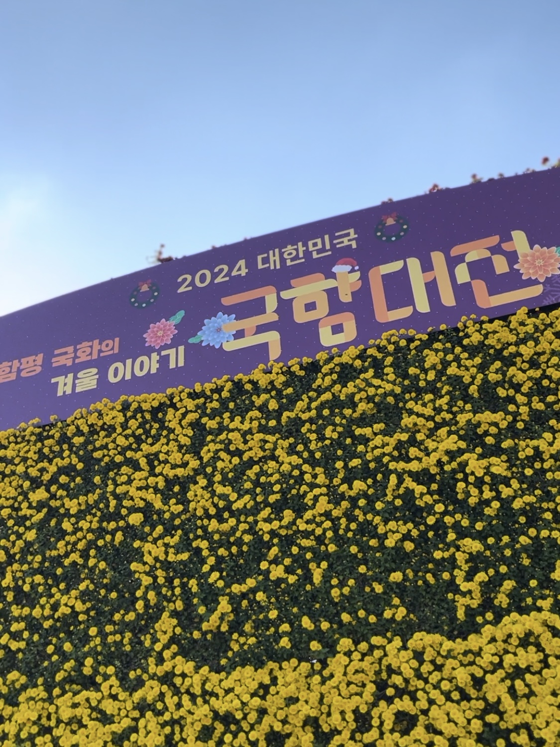 함평나들이(국향대전과 황금빛 노을)