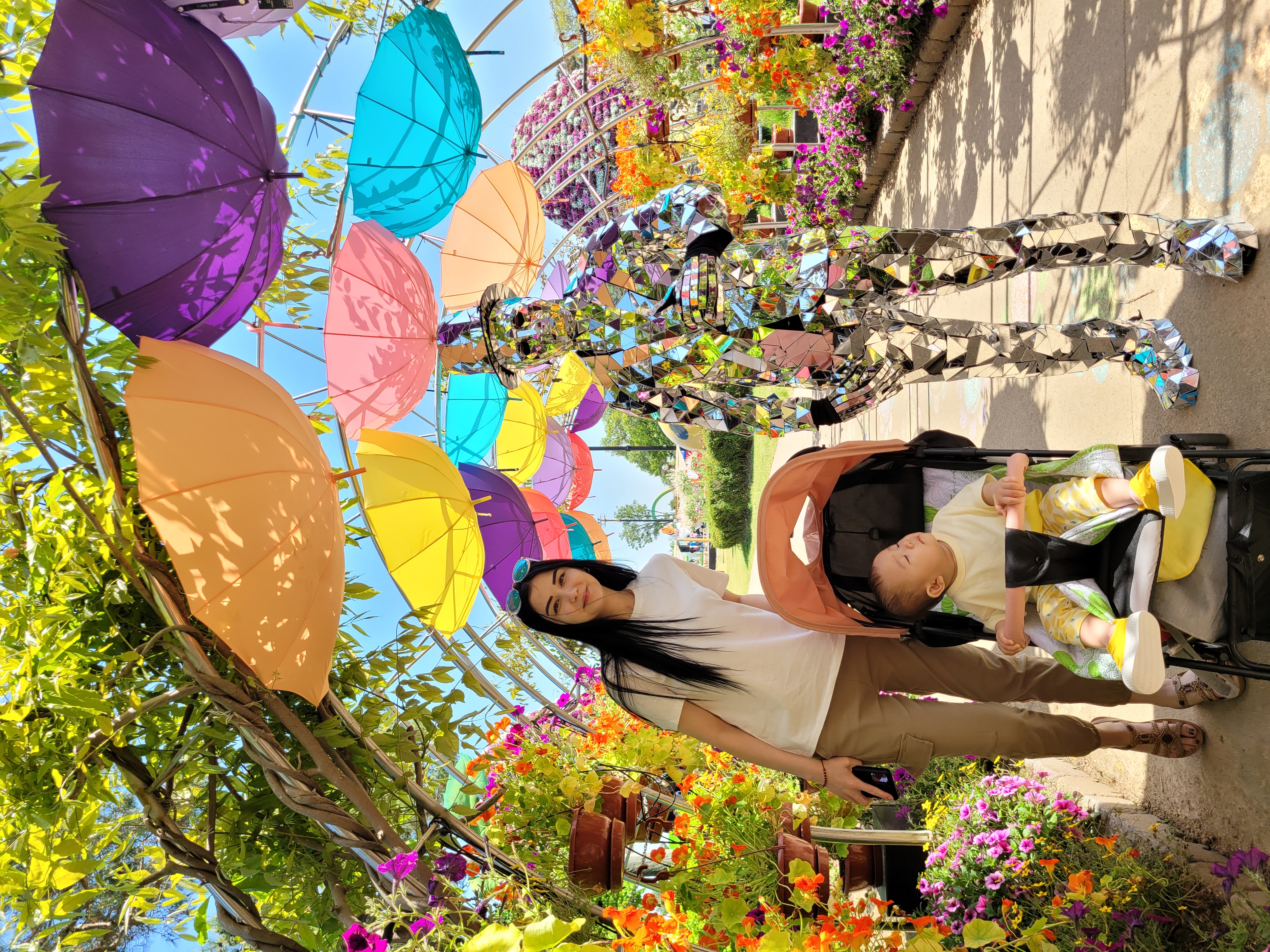 24 함평 나비 대축제 관람 후기