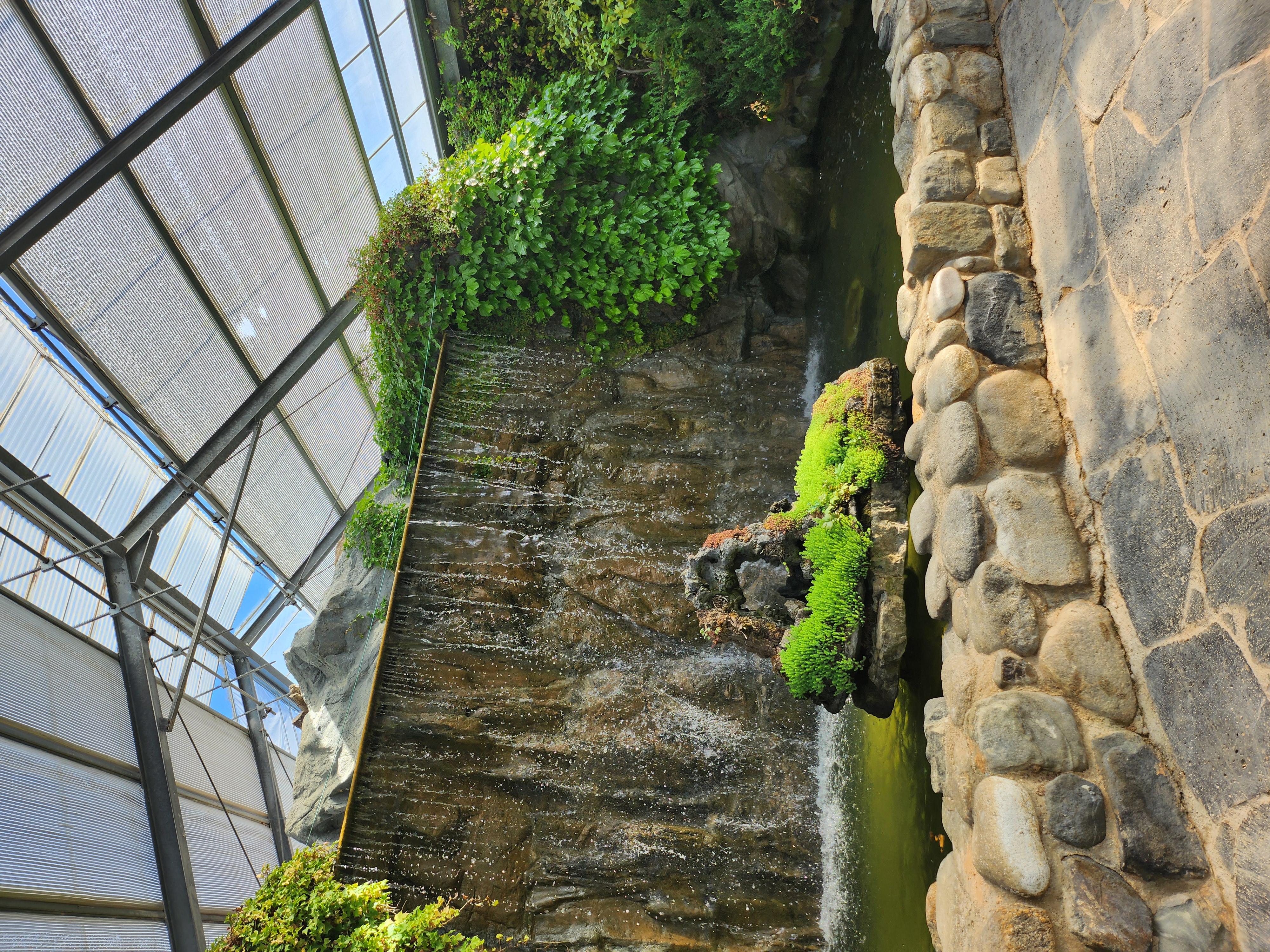 아빠와함평나비축제나들이~