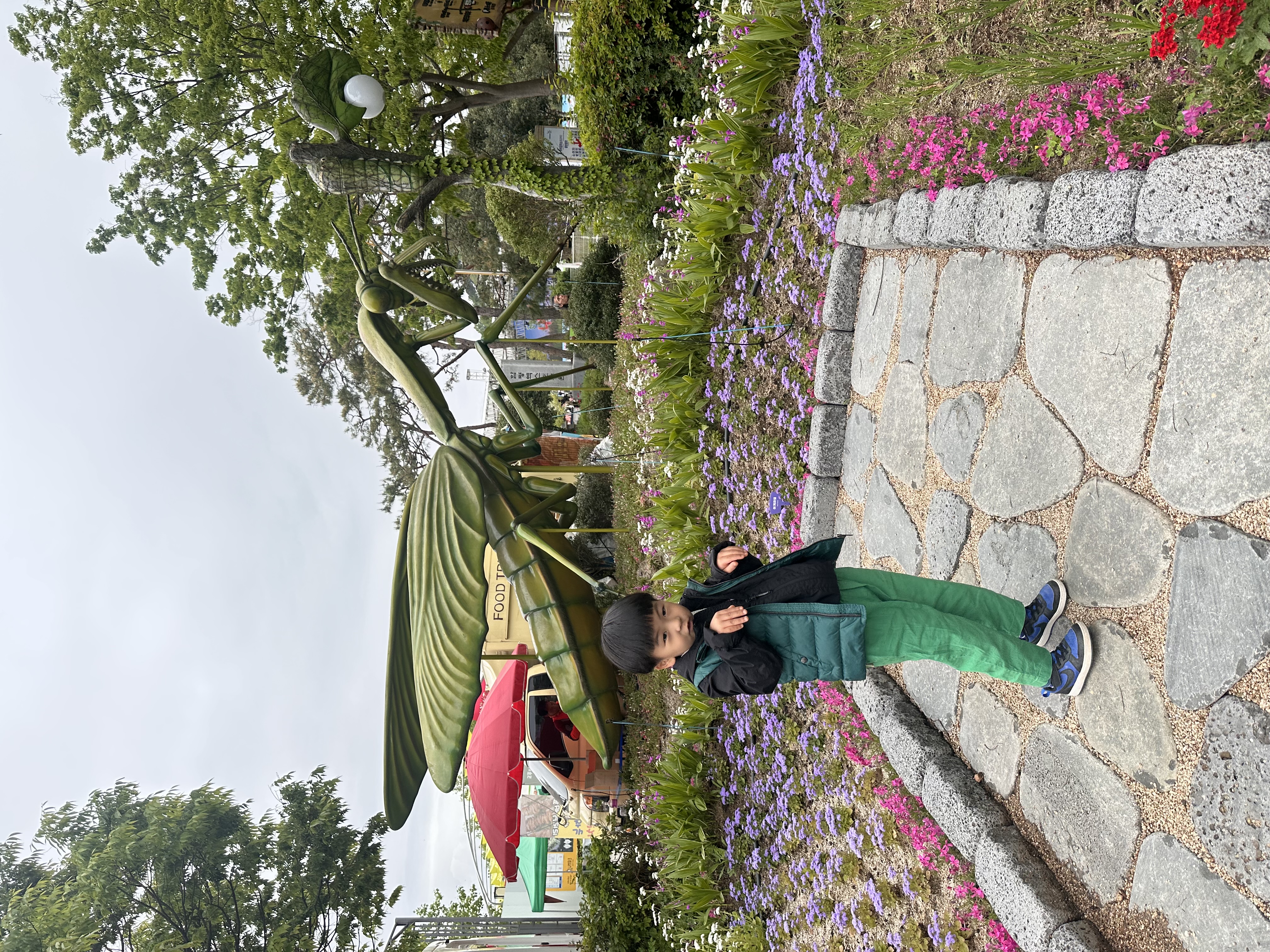 곤충박사 6살 아이와 함께한 나비 축제에서 입구부터 아이의 시선을 사로잡은 최애곤충 사마귀!! 사마귀와 함께 앞다리 모으고 한컷^^