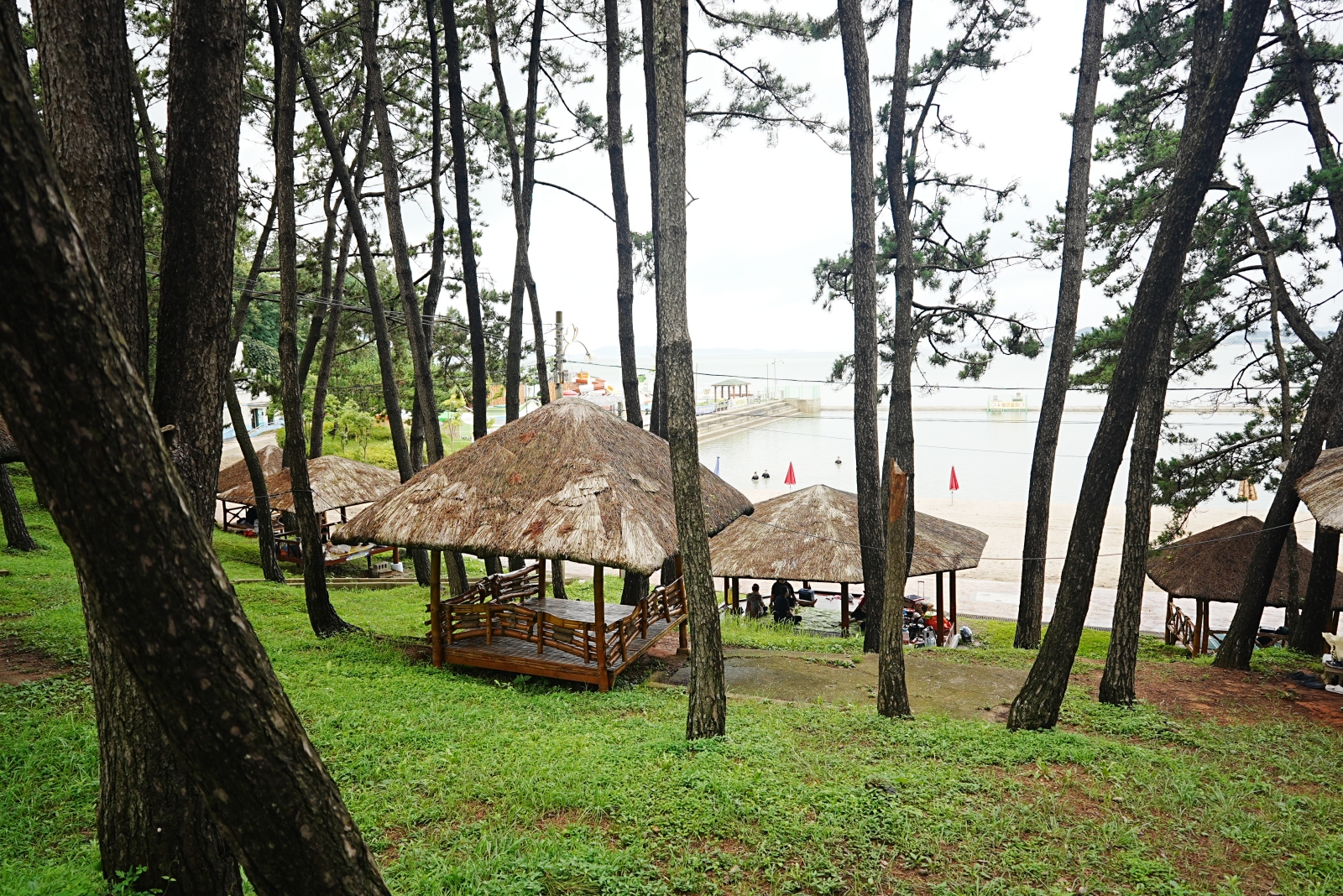 바다가 보이는 숲속의 평상들