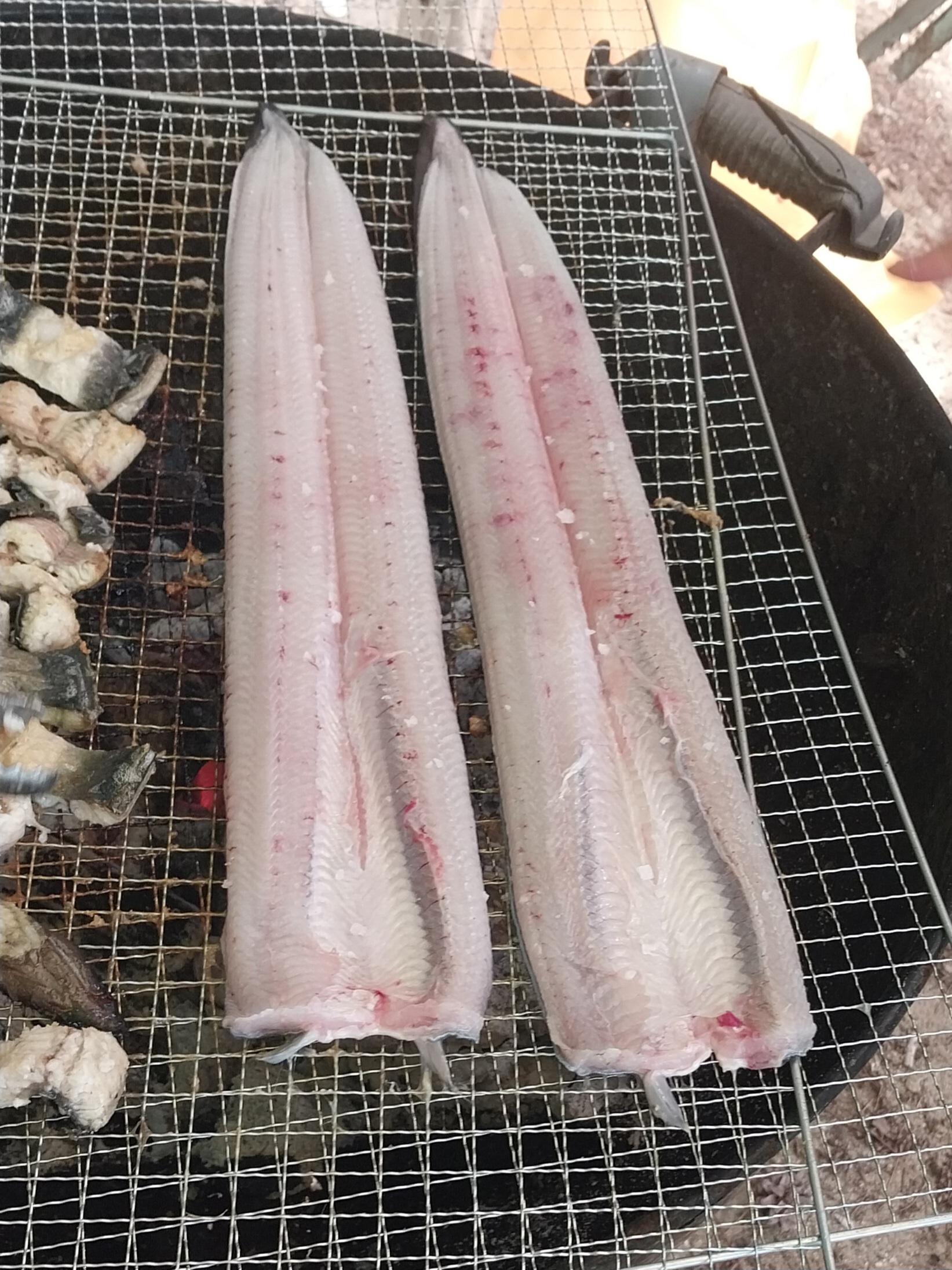 함평여행 1박2일