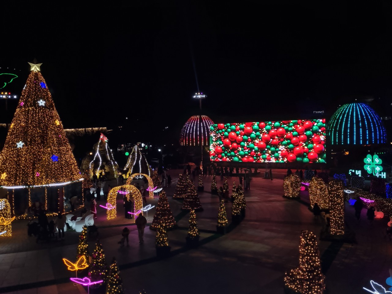 함평 겨울 빛 축제 전경