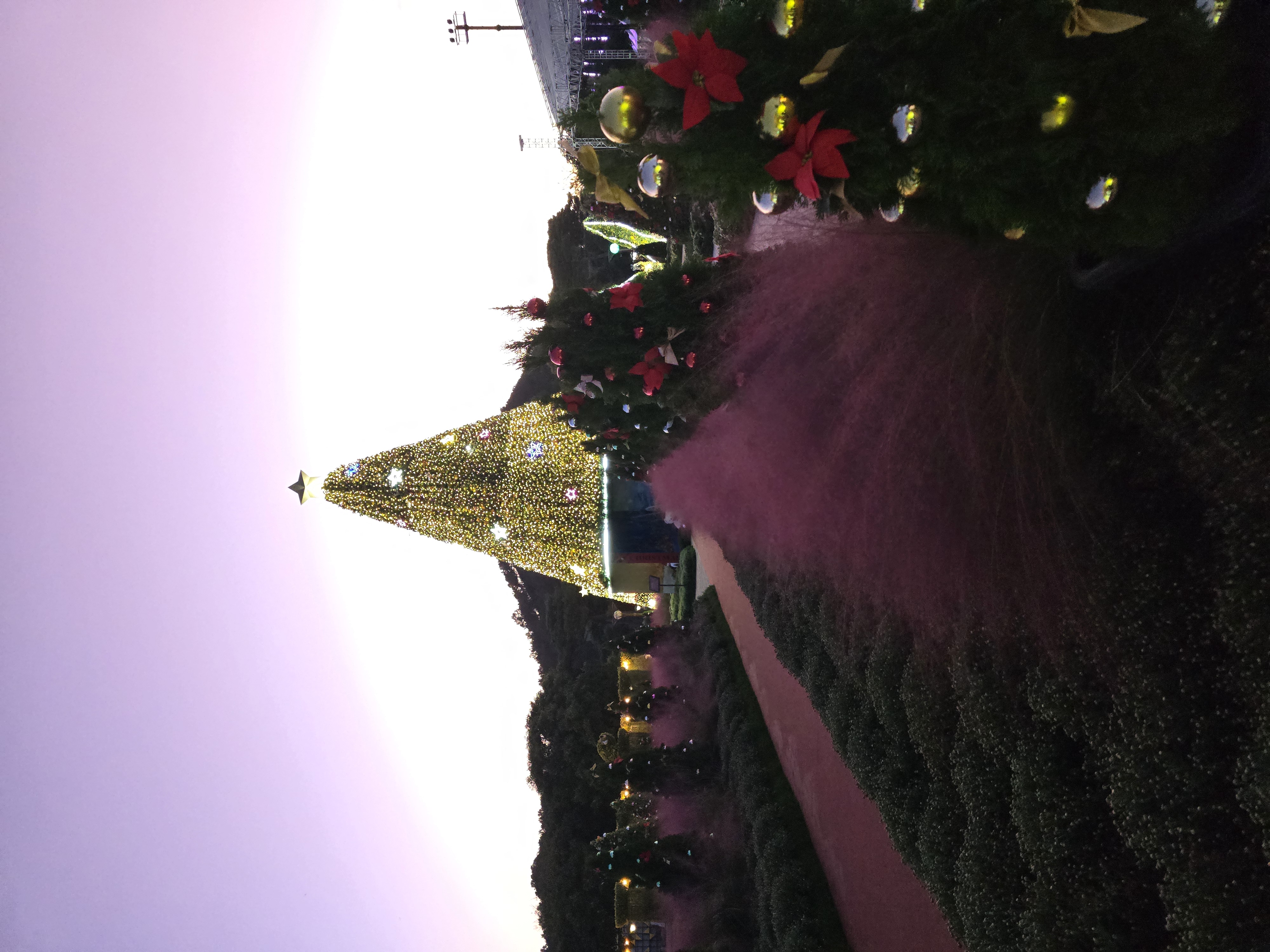 10월의 어느 멋진 날에