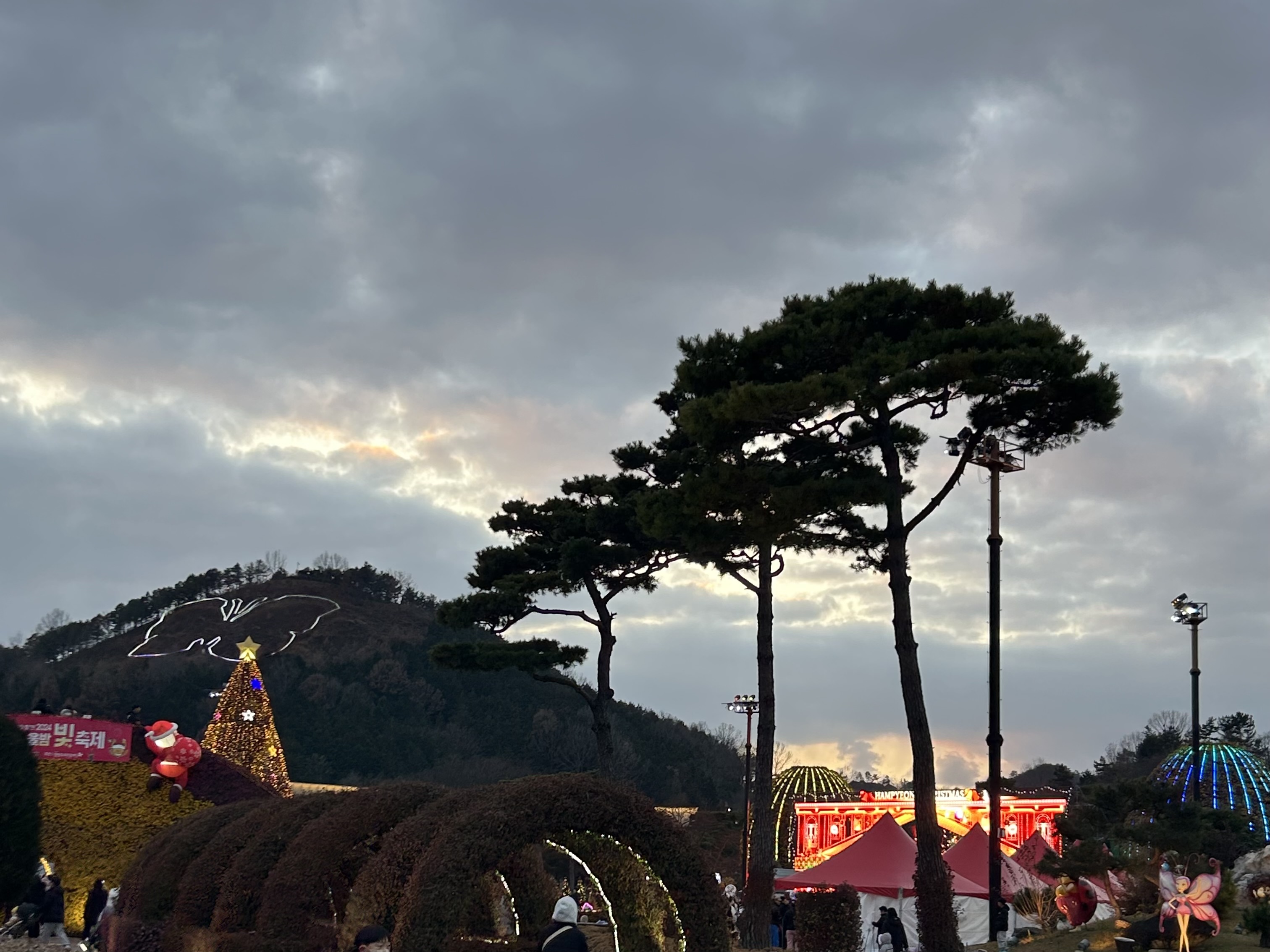 겨울밤을 수놓은 함평 빛축제!
