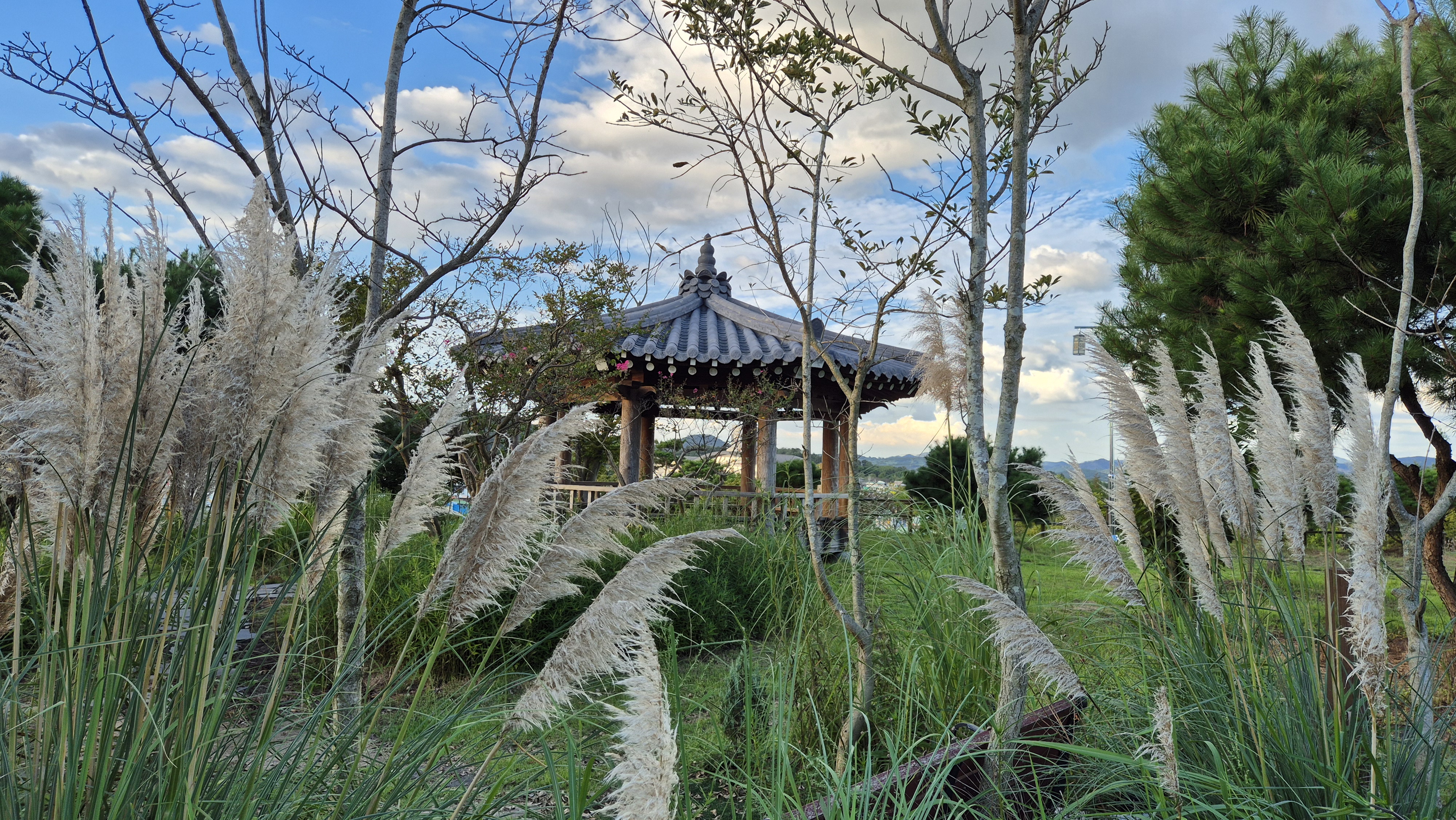 함평 주포한옥마을의 가을 풍경