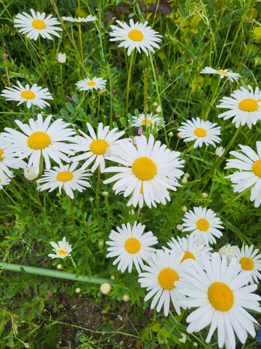 YB "나는 나비"~ 이번이 첫 방문인게 놀라움.