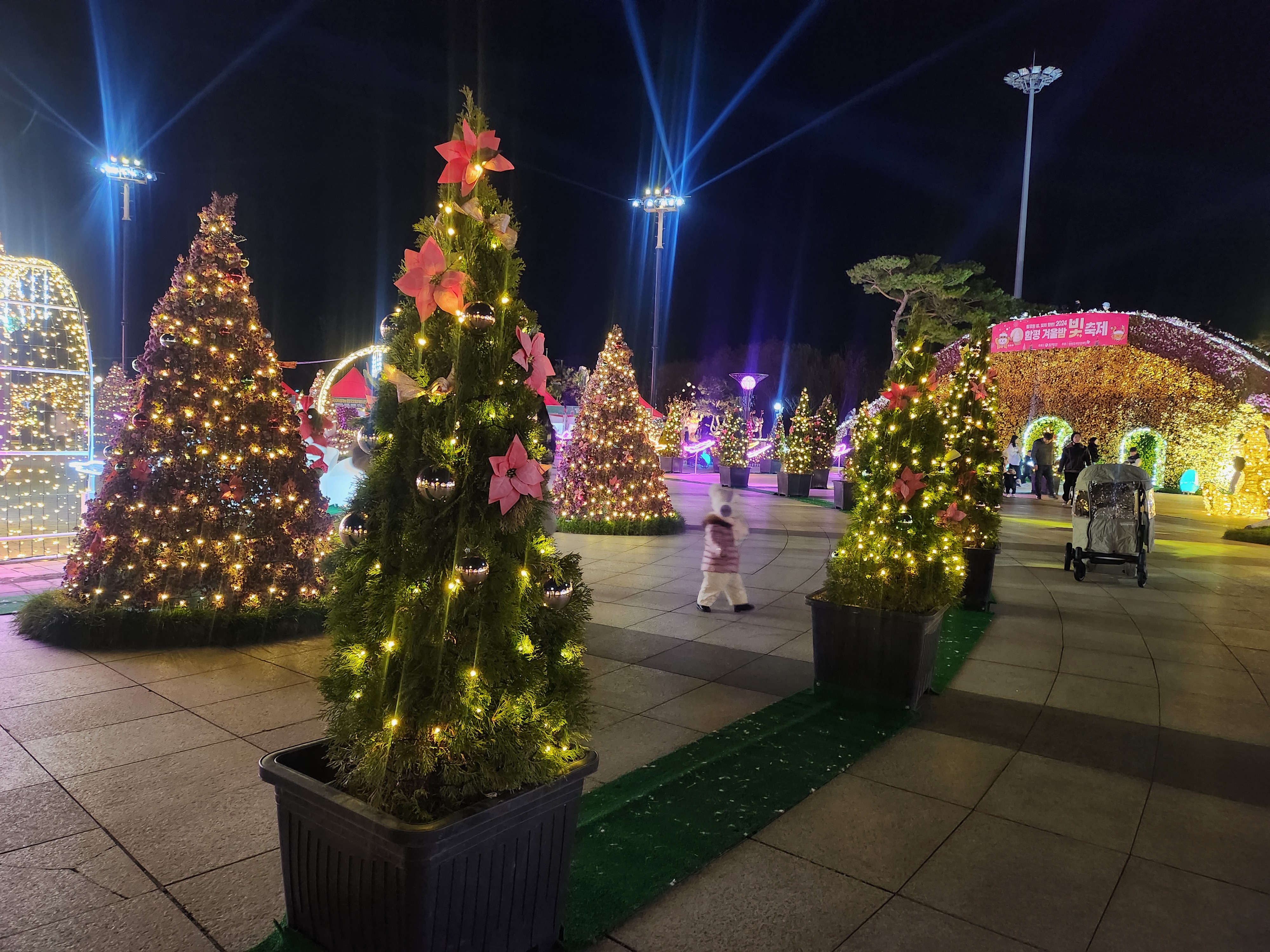 추억과 낭만이 가득한 함평 겨울 빛축제