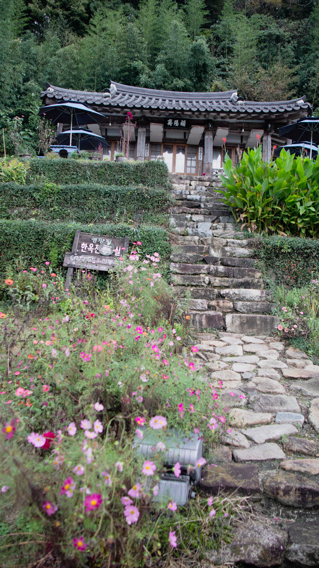 해보면 모평한옥마을 서당 카페(고택)