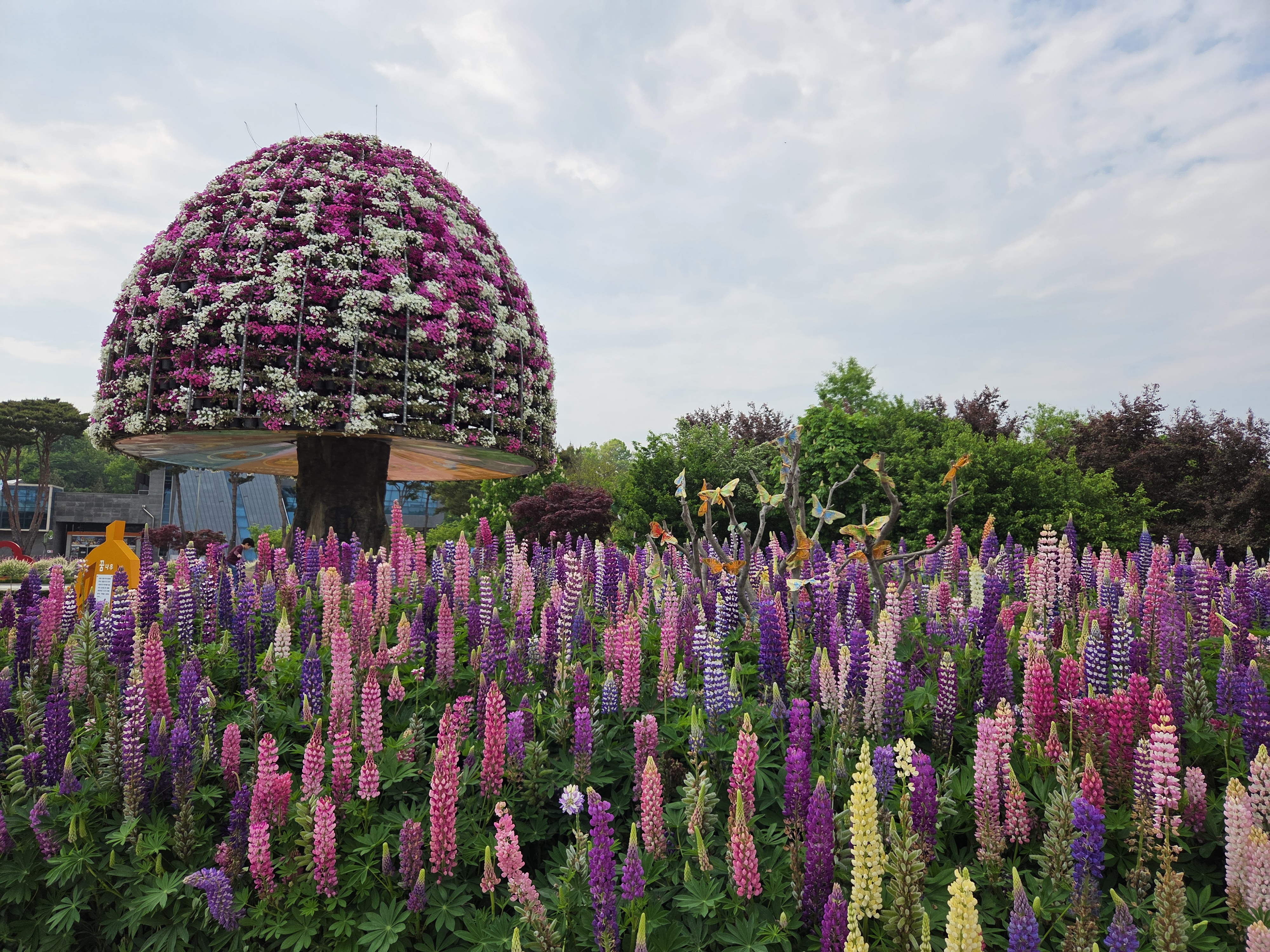 대광장 메인 큰 꽃트리 두개가 있었는데 그 주변으로도 너무 황홀한 꽃잔치였습니다.