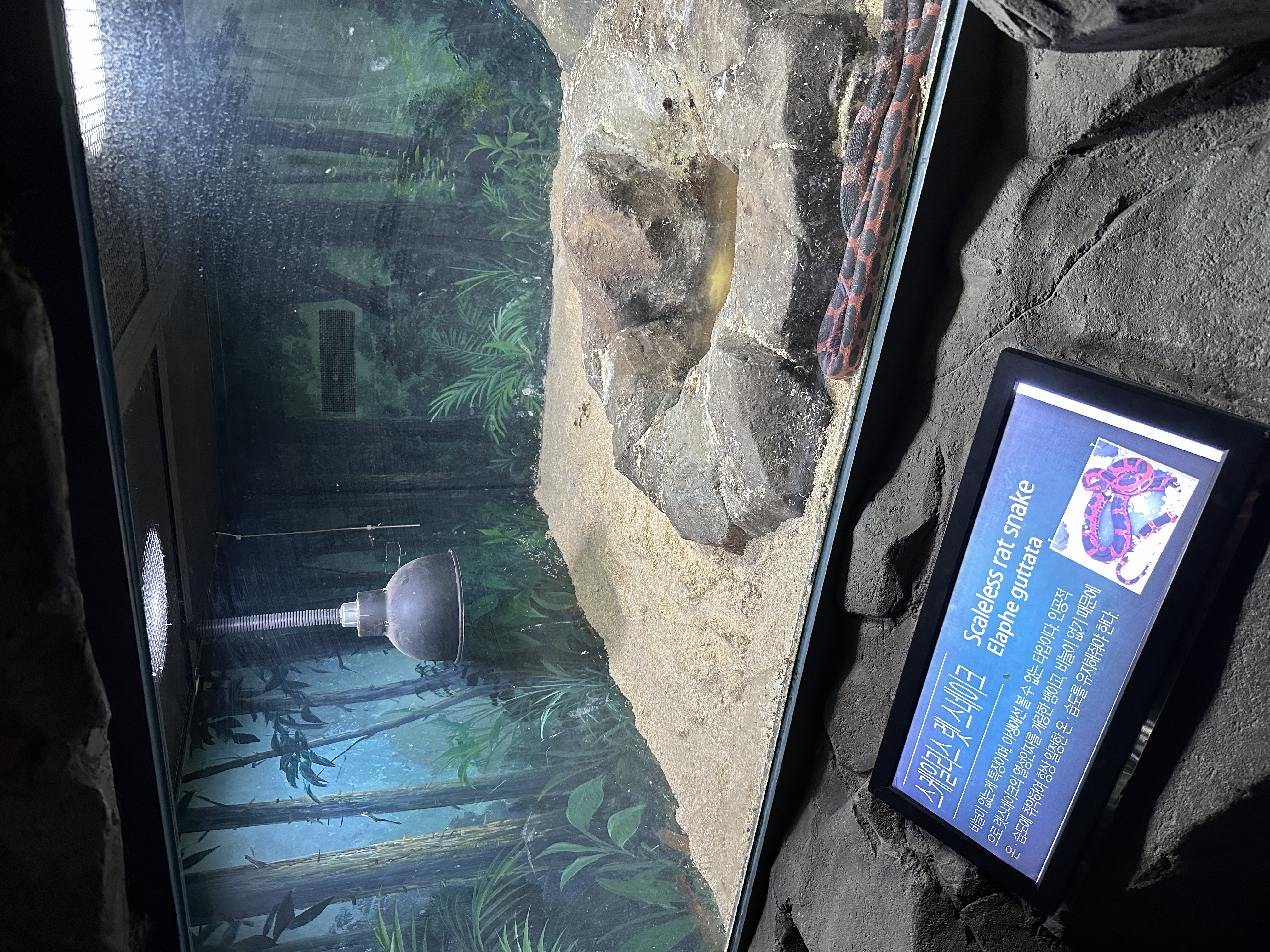 함평 양서파충류생태공원