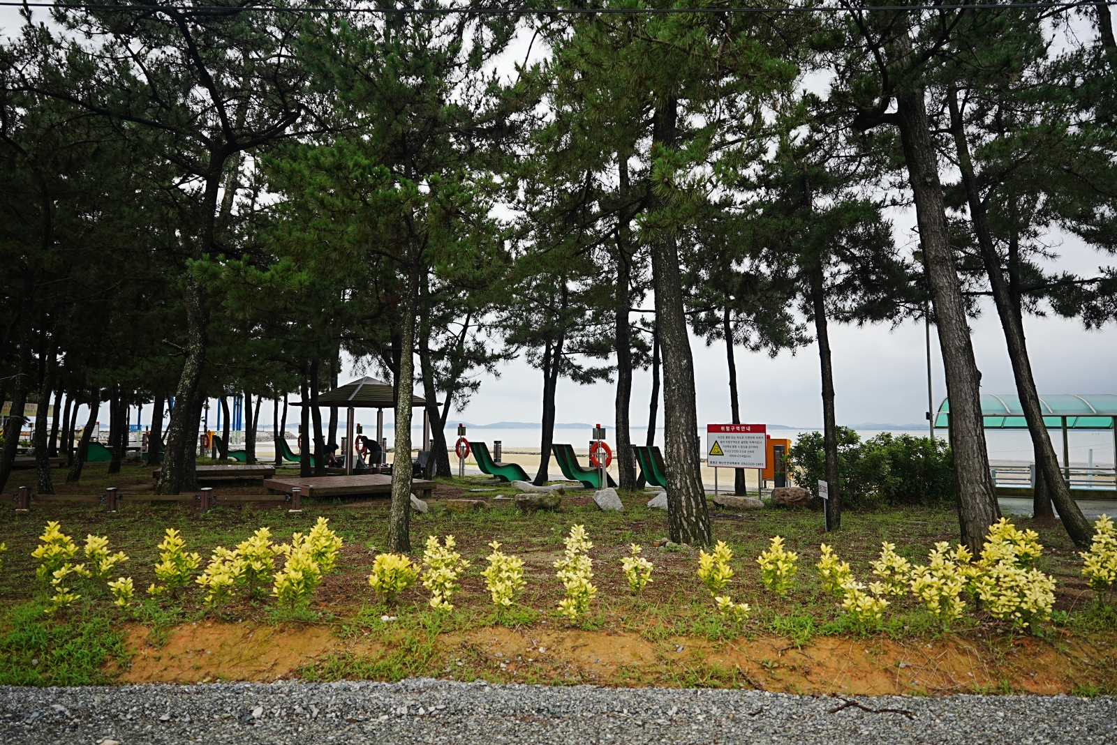 안악해변 미니숲