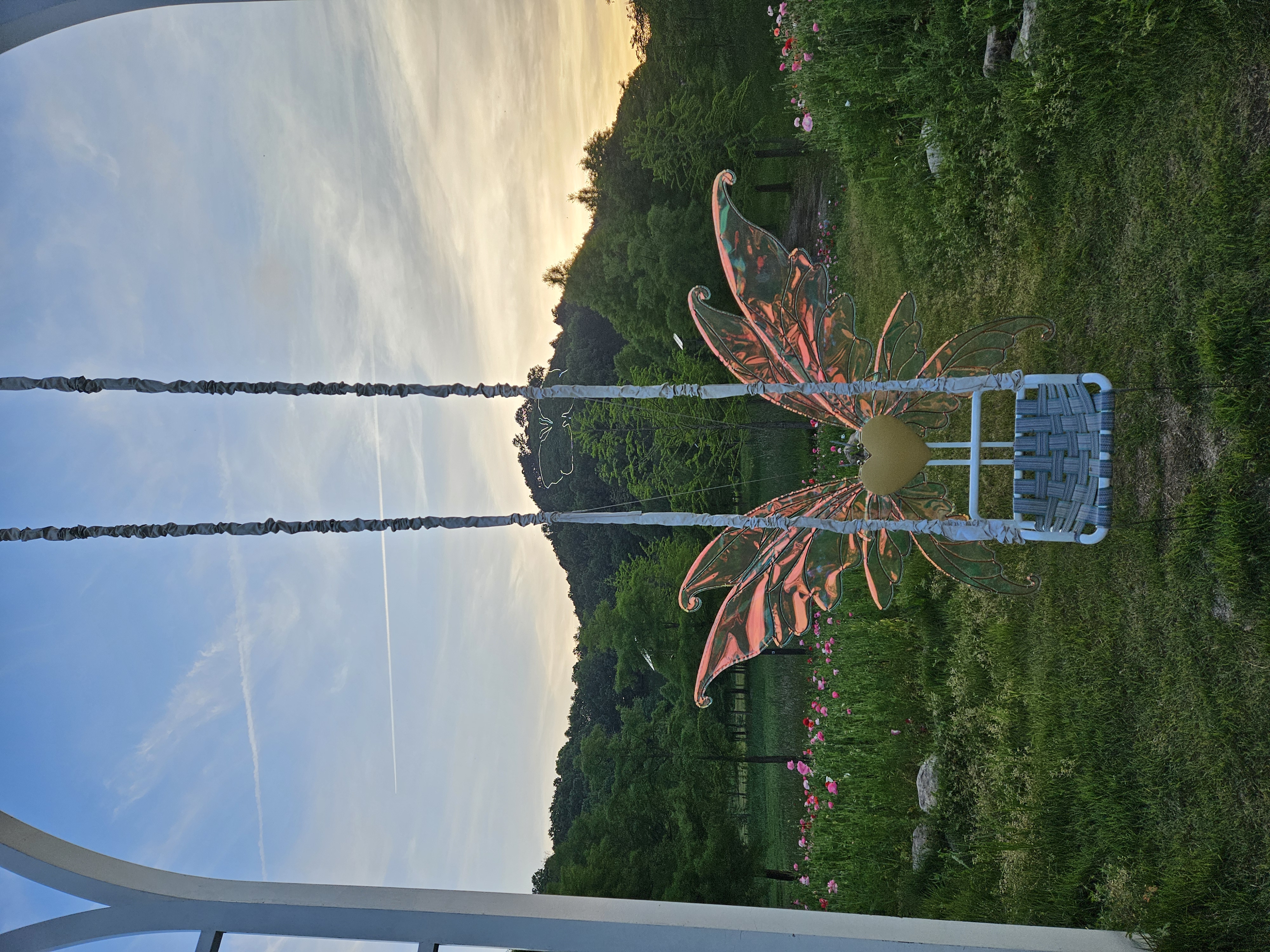 함평엑스포공원 나비그네