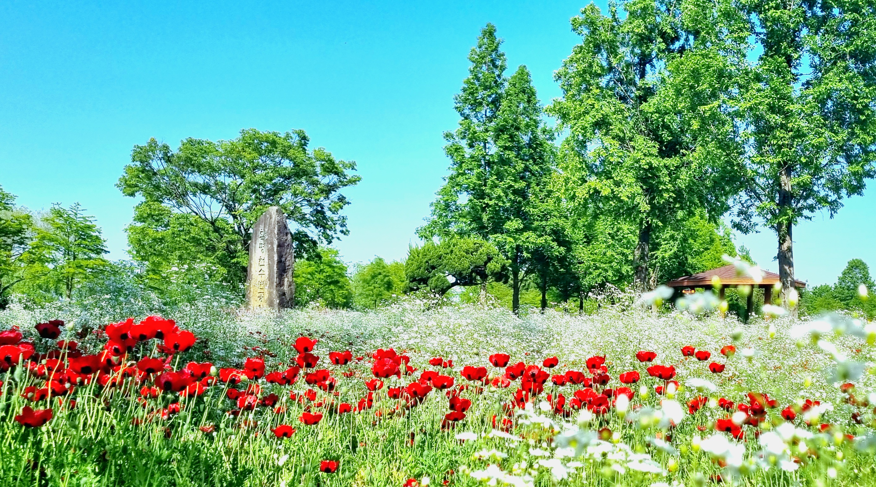 사계절이 좋은 함평엑스포공원