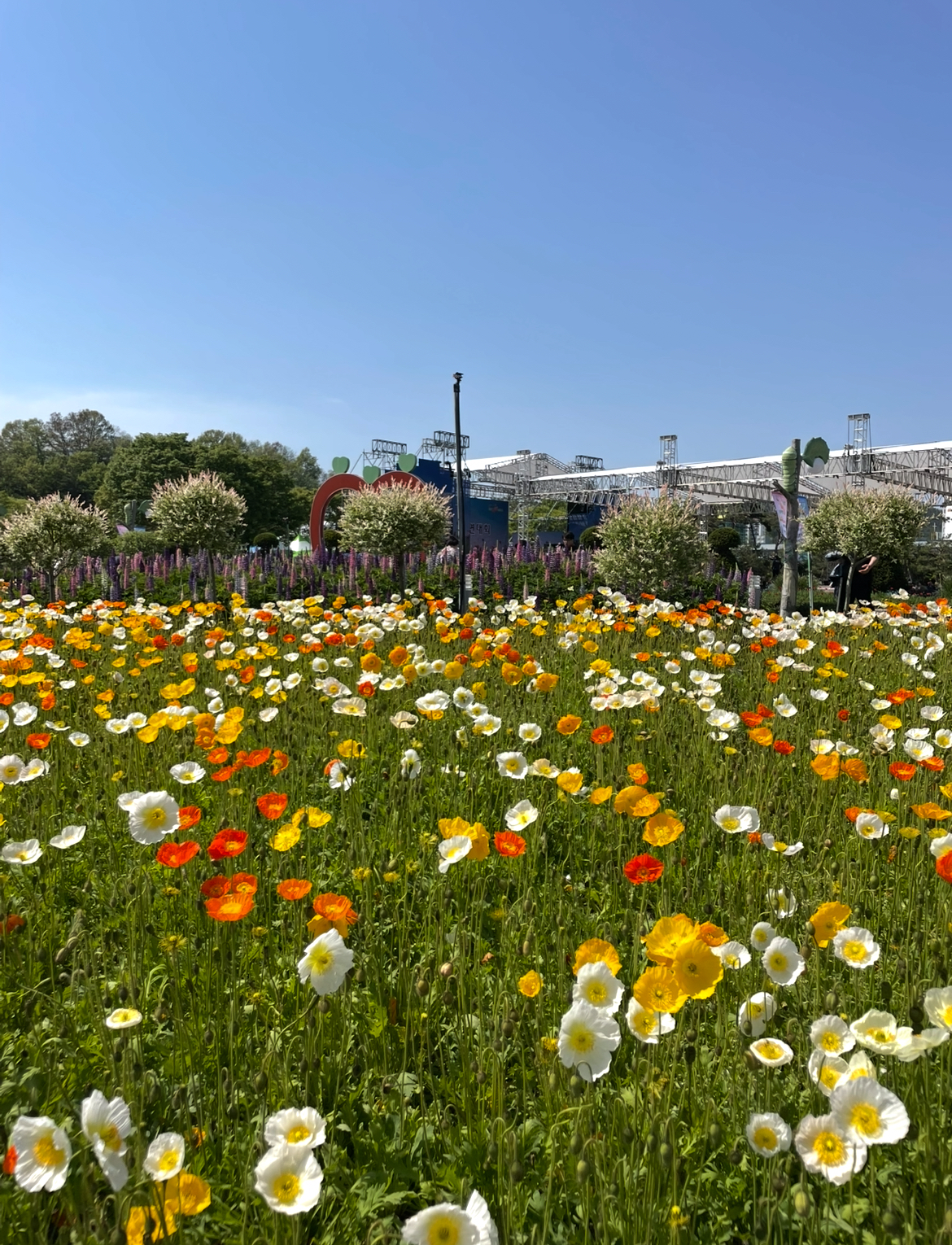 함평 나비대축제 대만족! 즐거운 함평 여행 했습니다~~