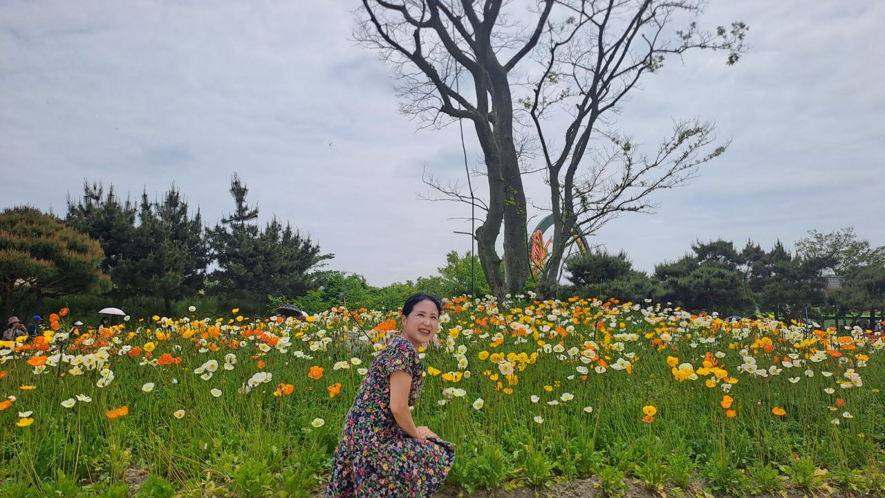 봄의 함평 너무 예뻐요