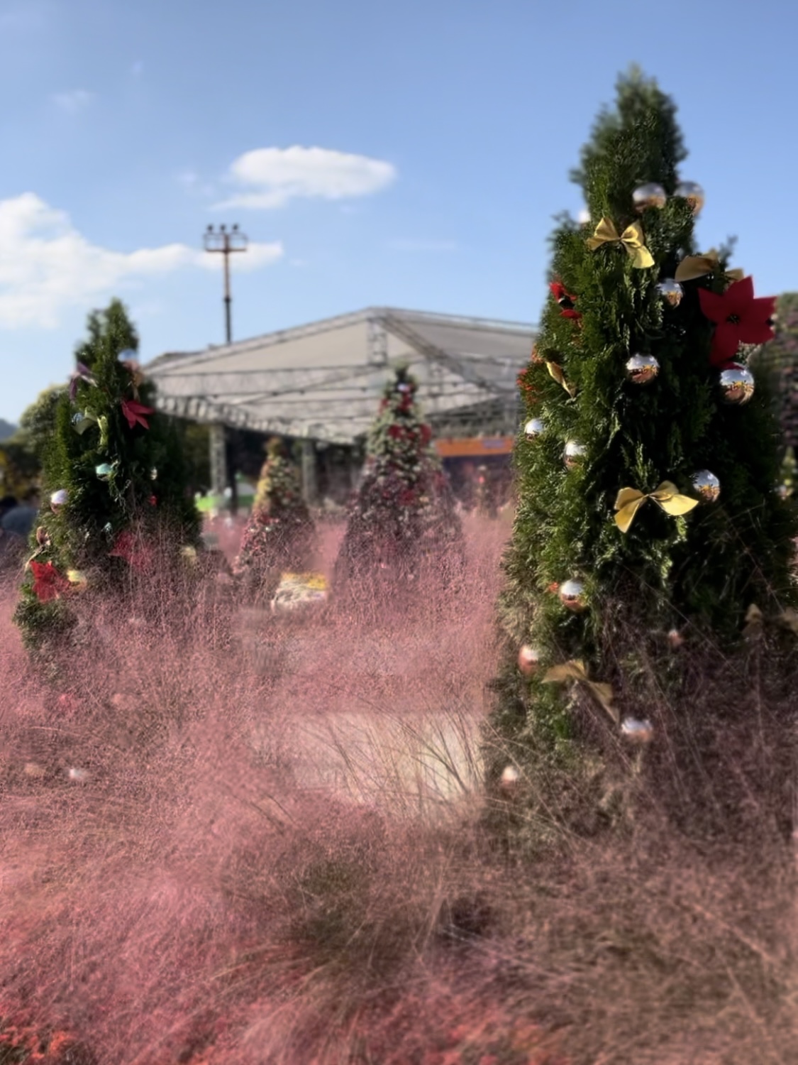 10월의 크리스마스