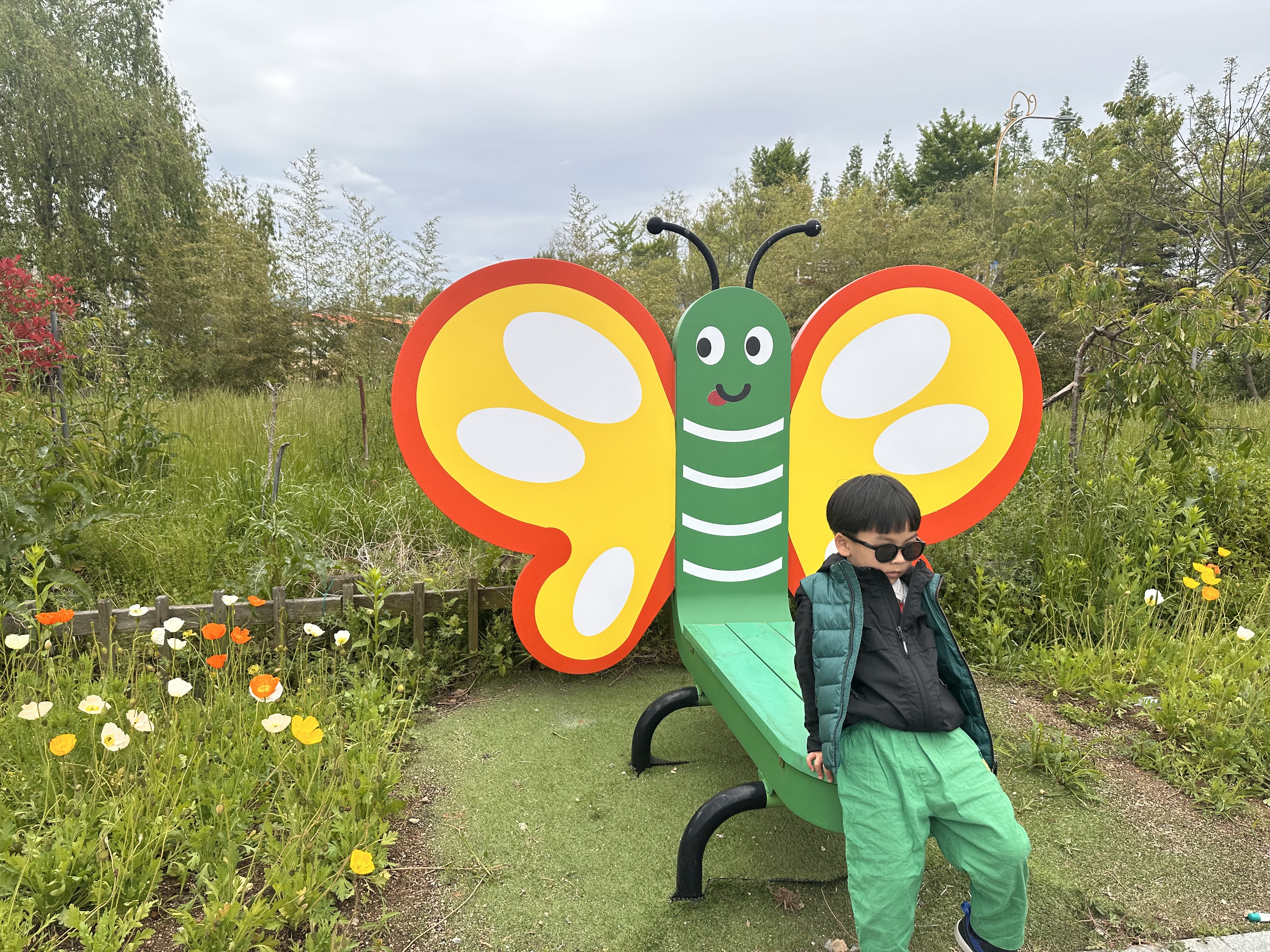나비축제 가는길도 예뻐요! 꽃들과 나비와 함께 찰칵!