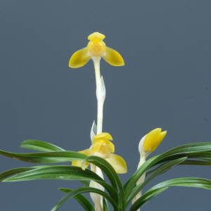 국무총리상 - 김성철(보름달)