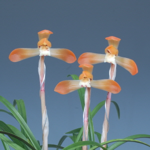 전라남도 교육감상 - 이용규(홍화)