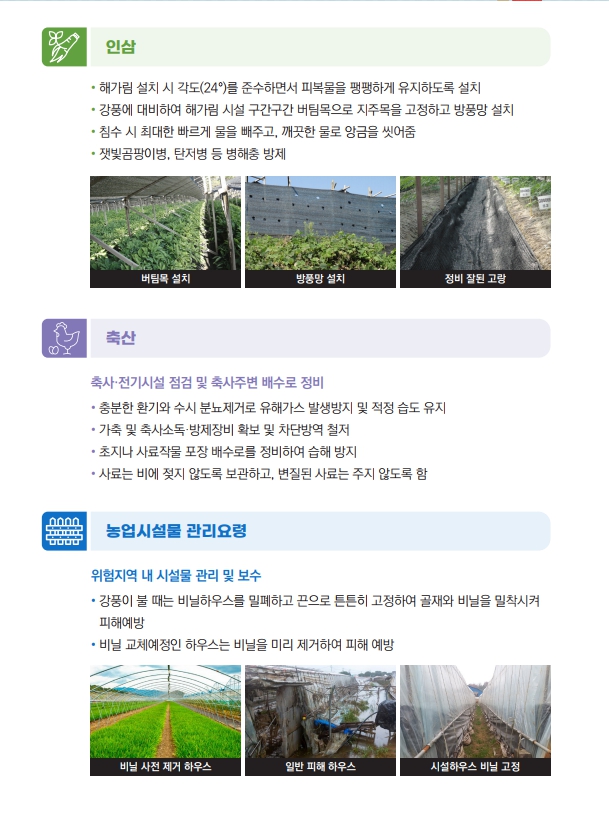 2025년 여름철 집중호우태풍 대비 농작물 및 농업시설물 안전관리요령