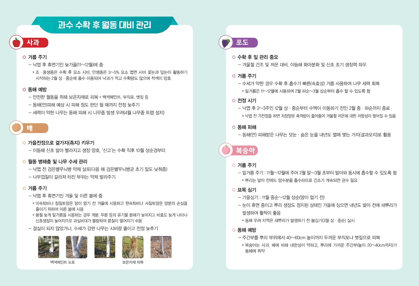 과수 수확 후 월동 대비 관리 기술