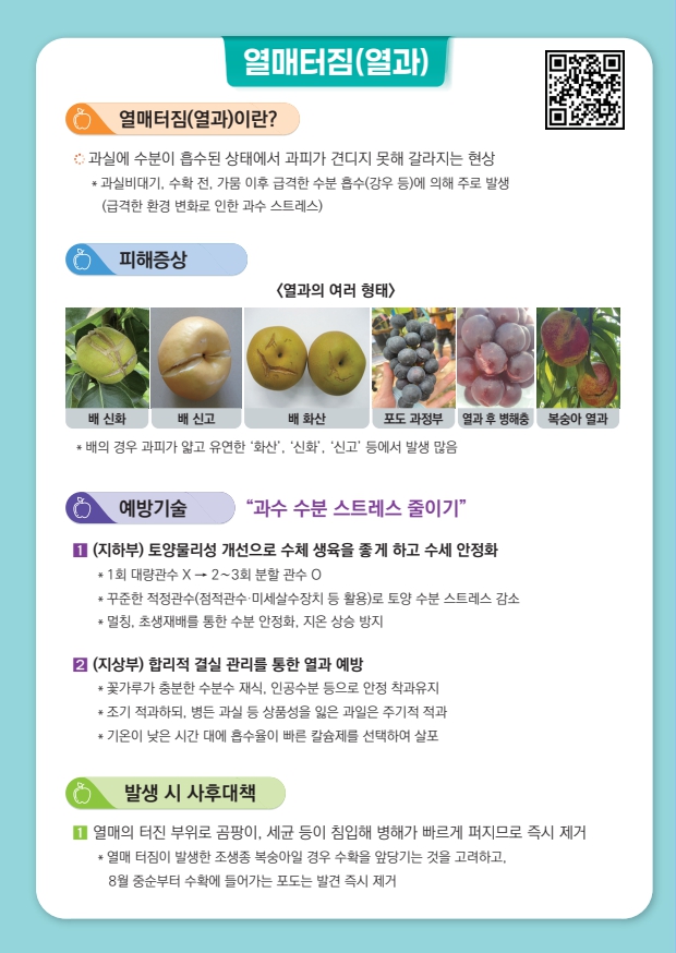여름철 과수 피해 예방 기술