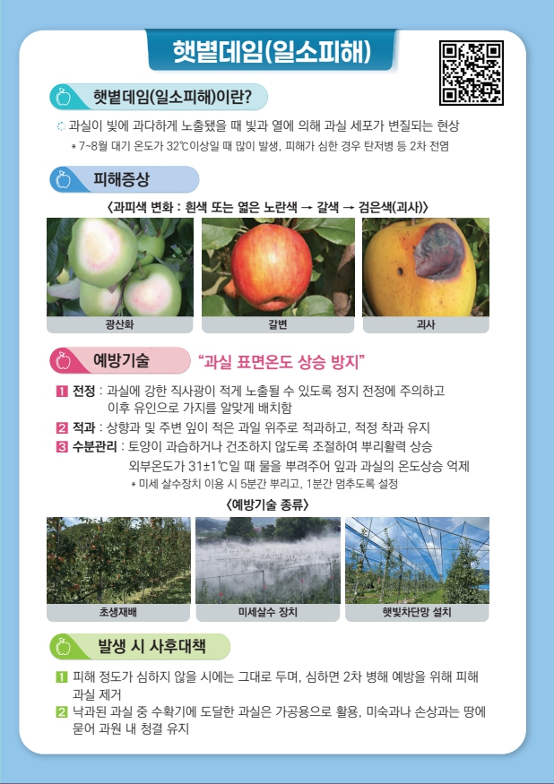 여름철 과수 피해 예방 기술