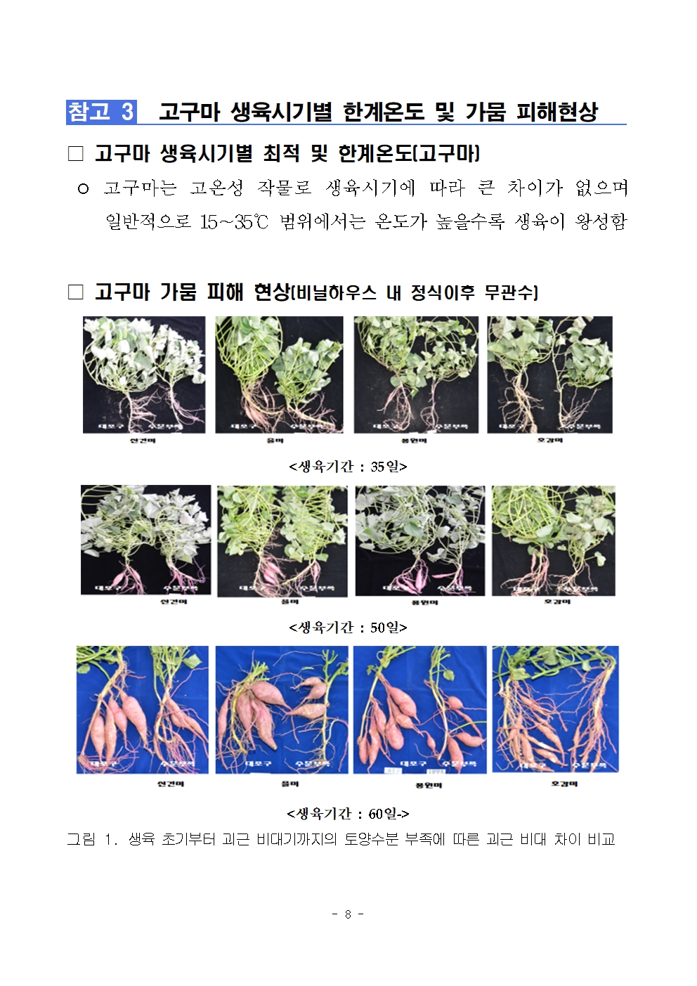 밭 식량작물 폭염·고온 피해 예방 안내