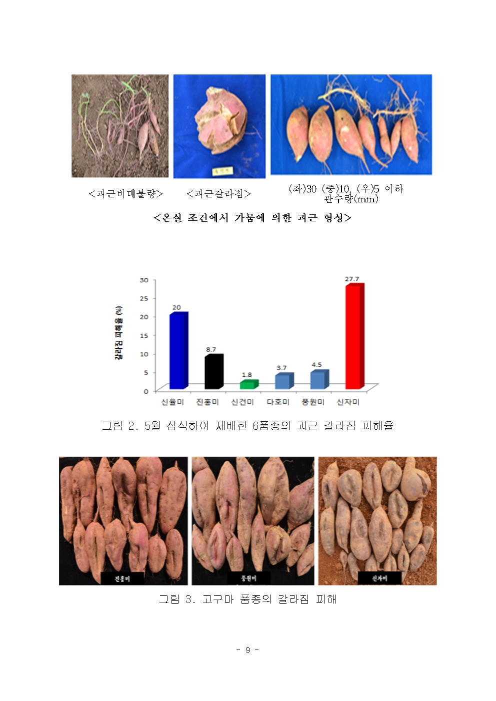 밭 식량작물 폭염·고온 피해 예방 안내