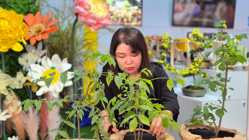 국제농업박람회 함평군 참여 모습