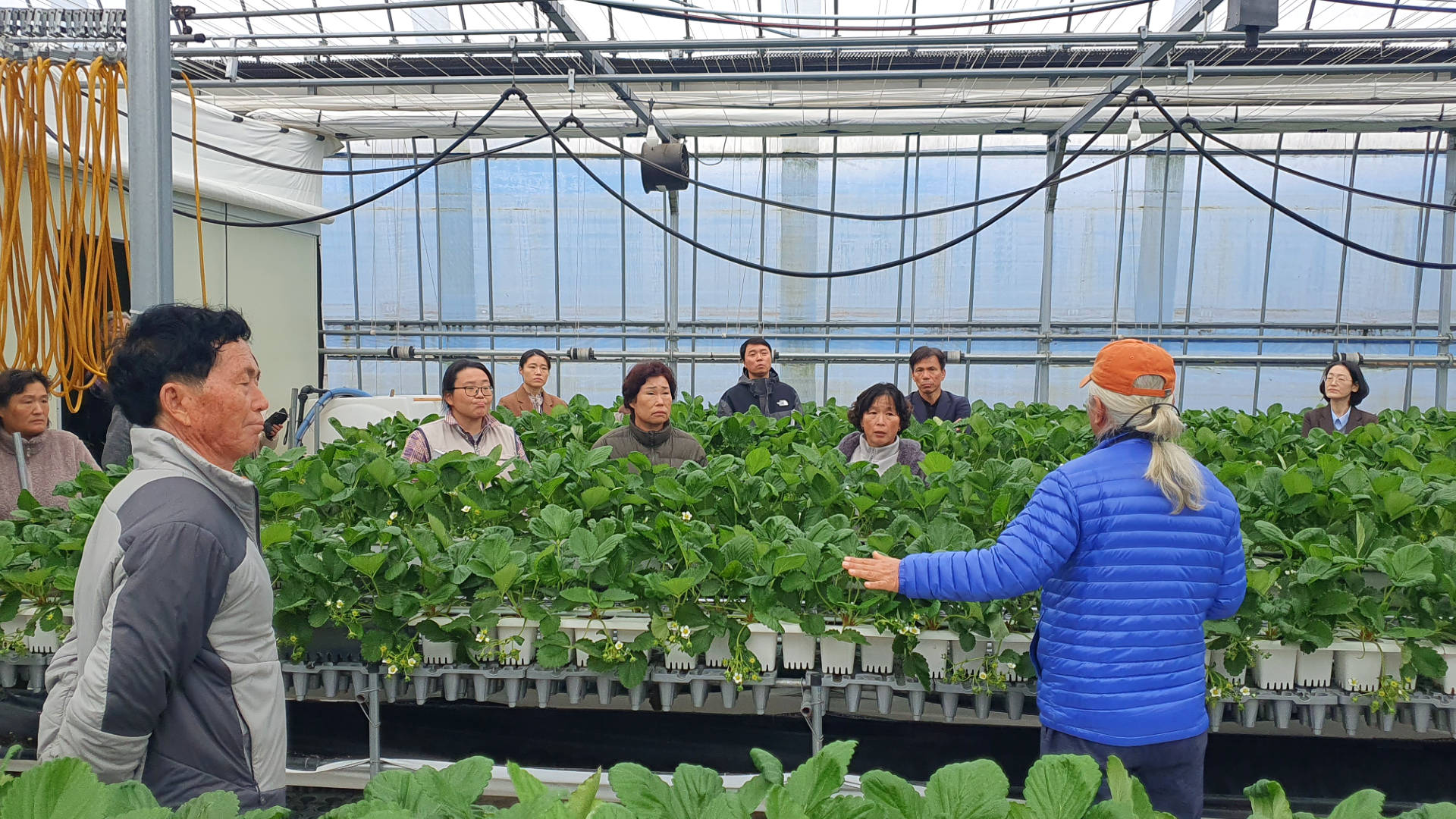 딸기 전남 TOP경영모델 실용화사업 연시회