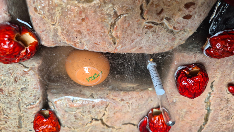 함평군 우리음식연구회 간장담그는 날