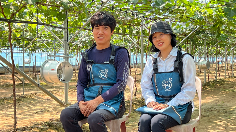 BK시들러스 포도를 아시나요?