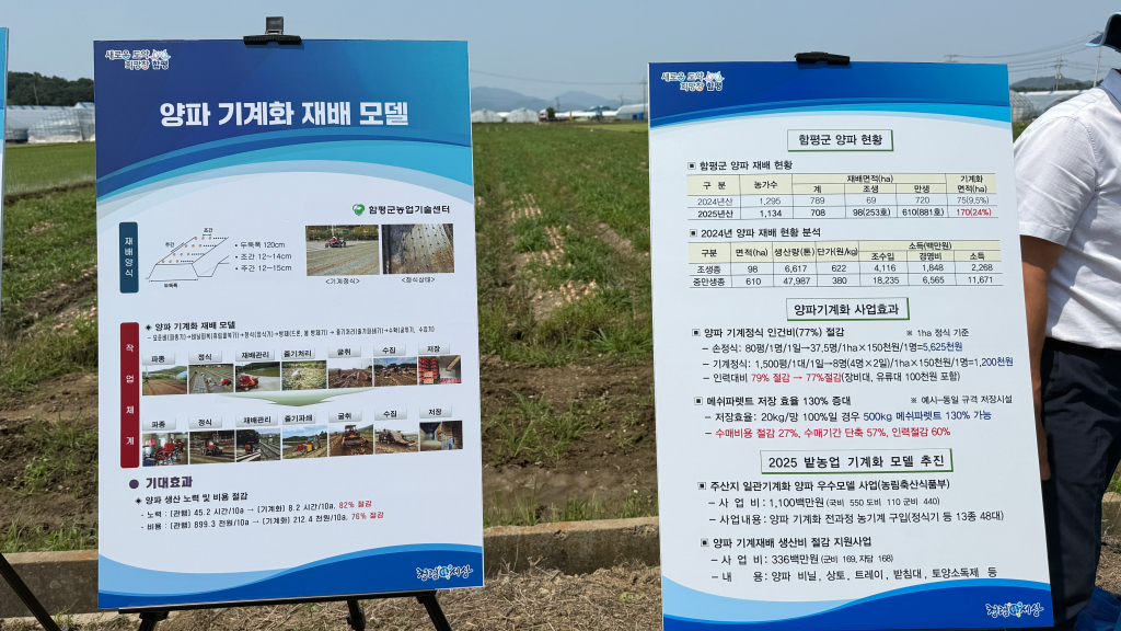 양파 기계재배 수확 연시회