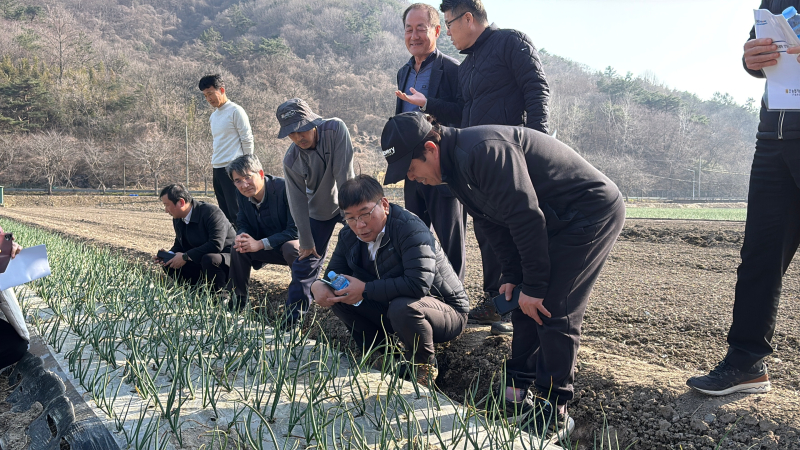 농촌진흥청 농촌지원국장 양파 현장 방문